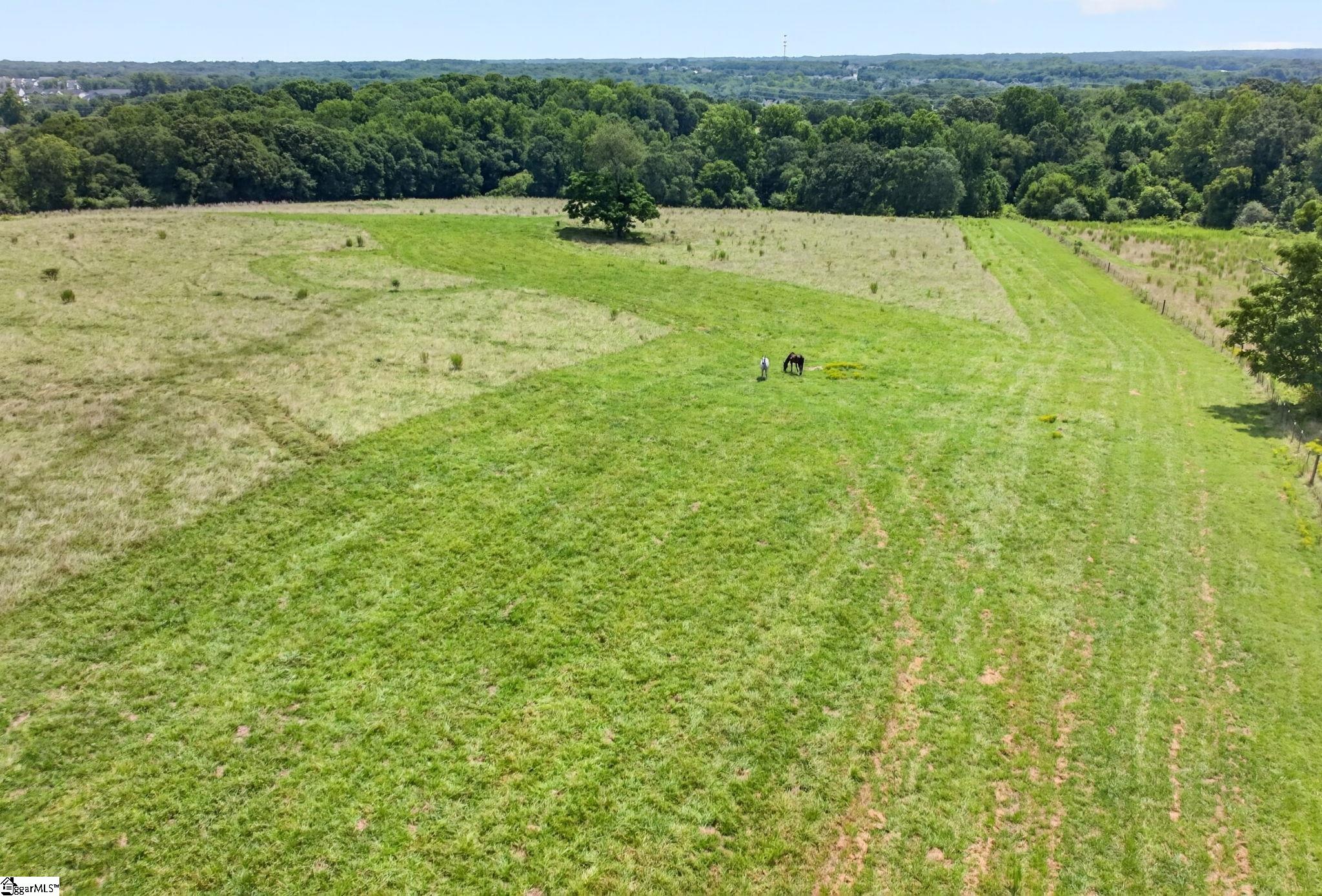 40 Log Shoals Road