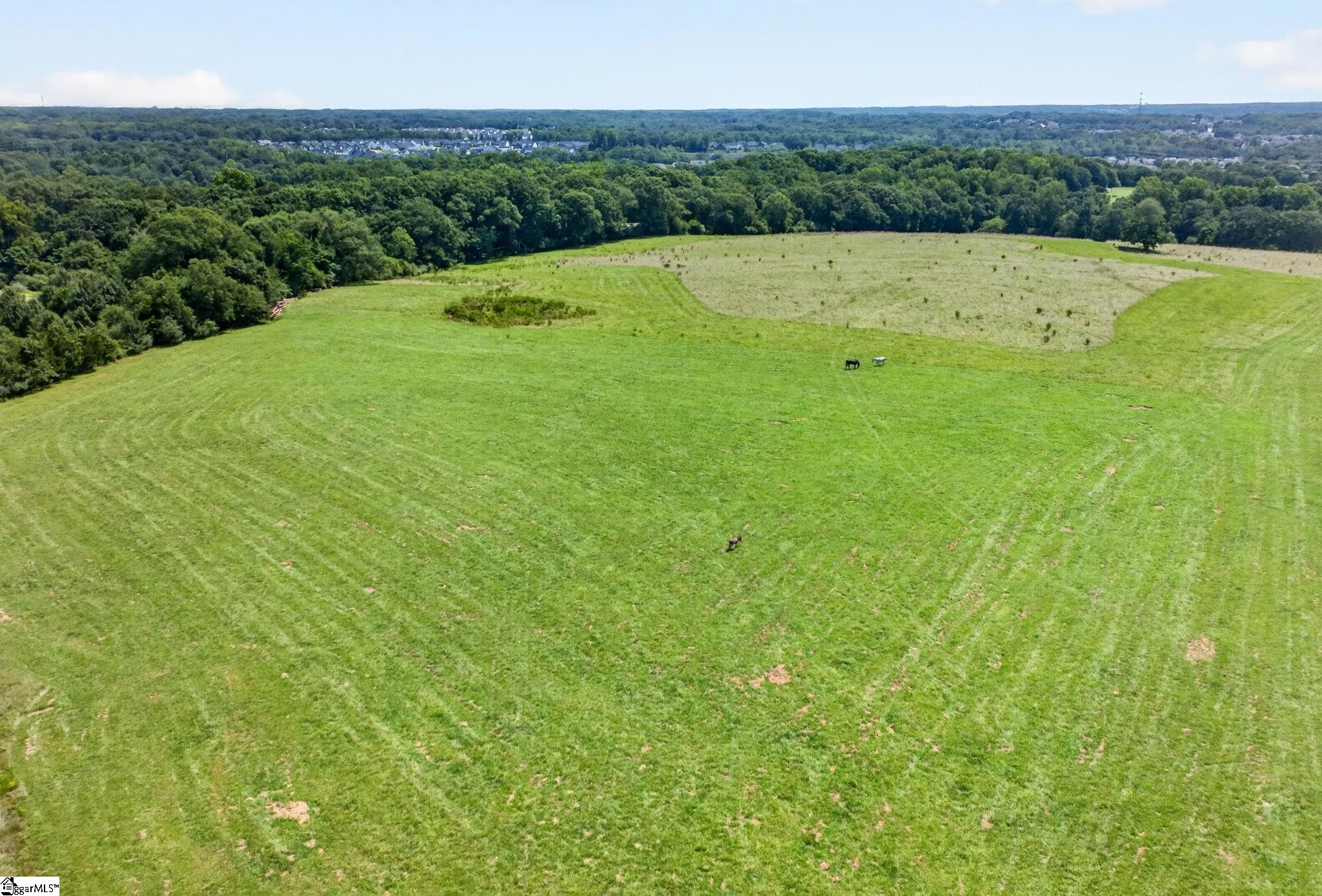 40 Log Shoals Road