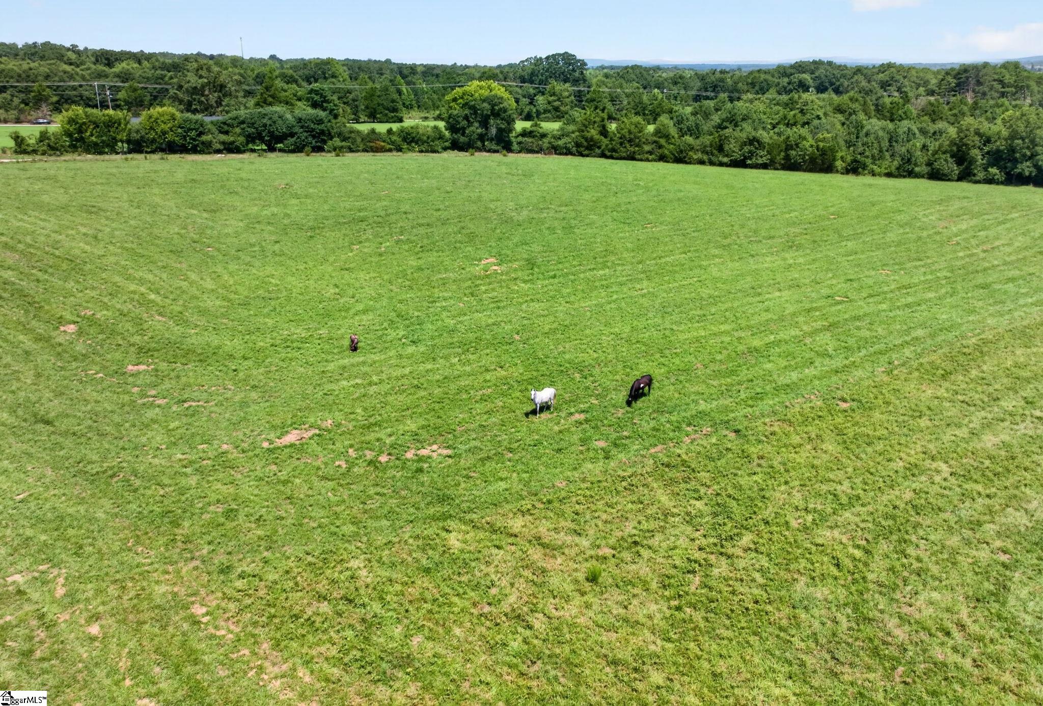 40 Log Shoals Road