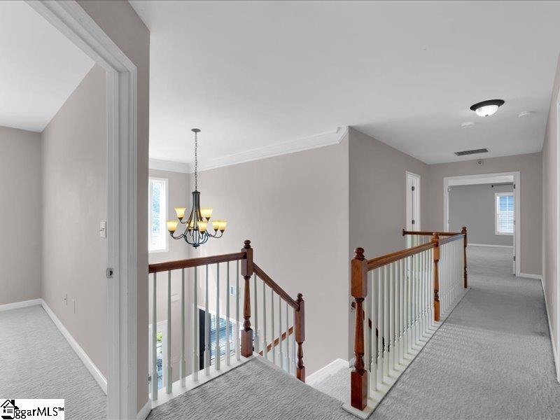 129 Rivanna Lane