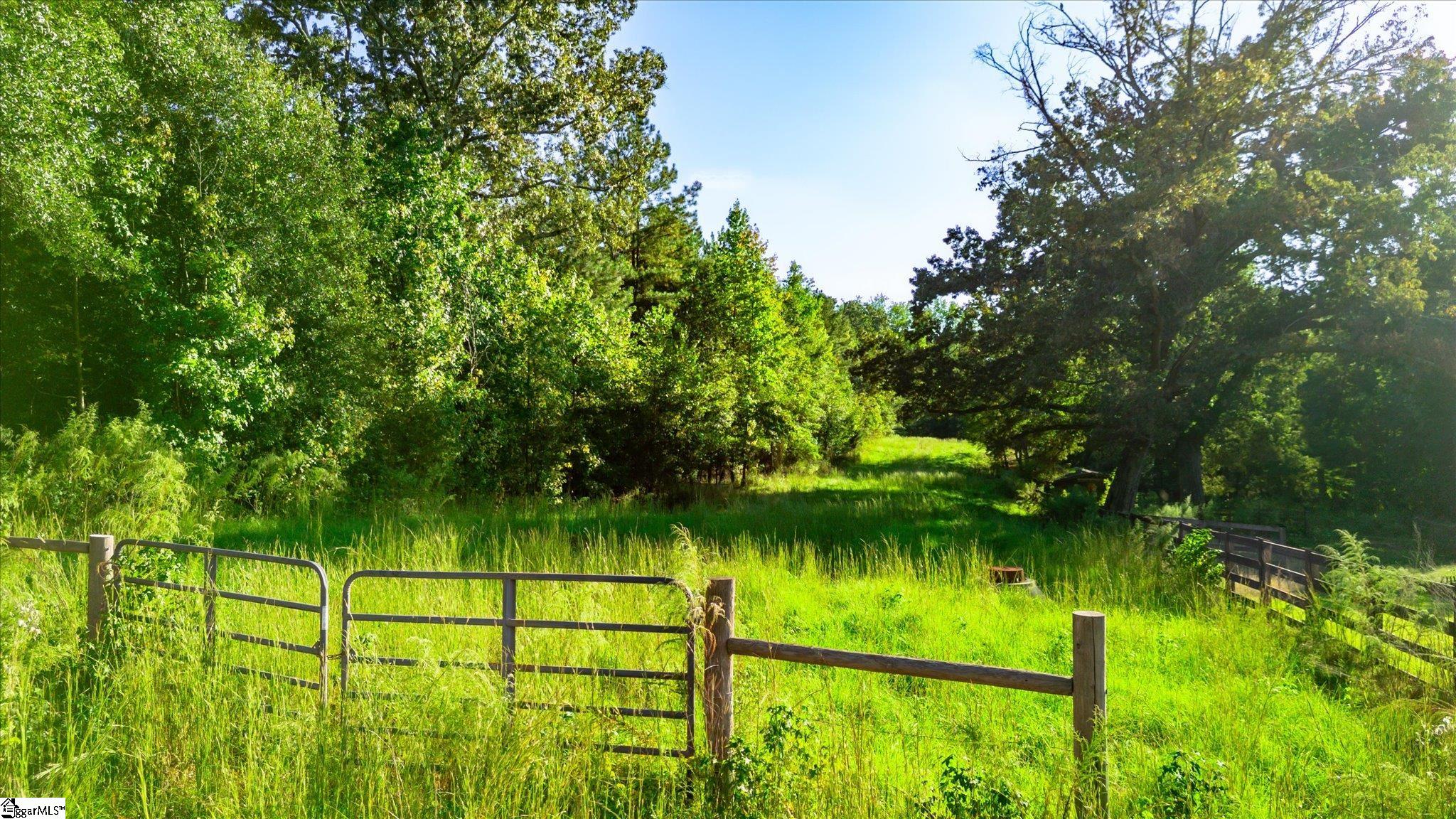 00 Blossom Branch Road