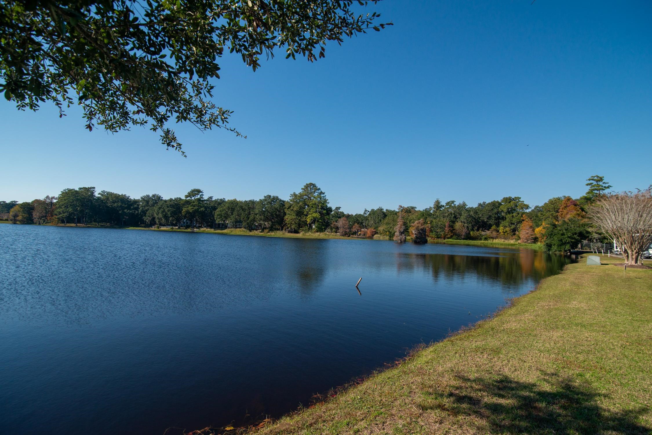 117 Finch Dr. Unit: 272