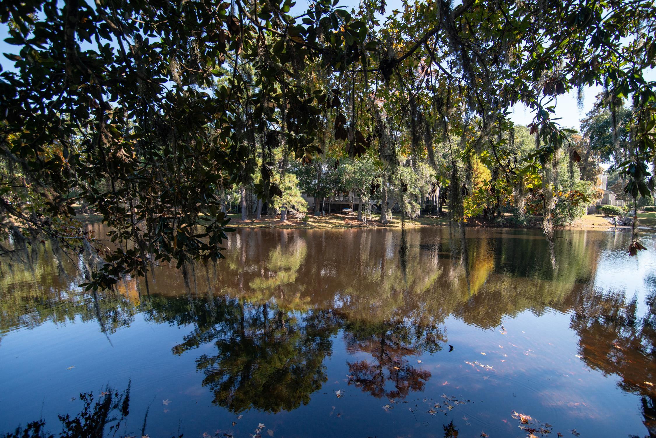 117 Finch Dr. Unit: 272