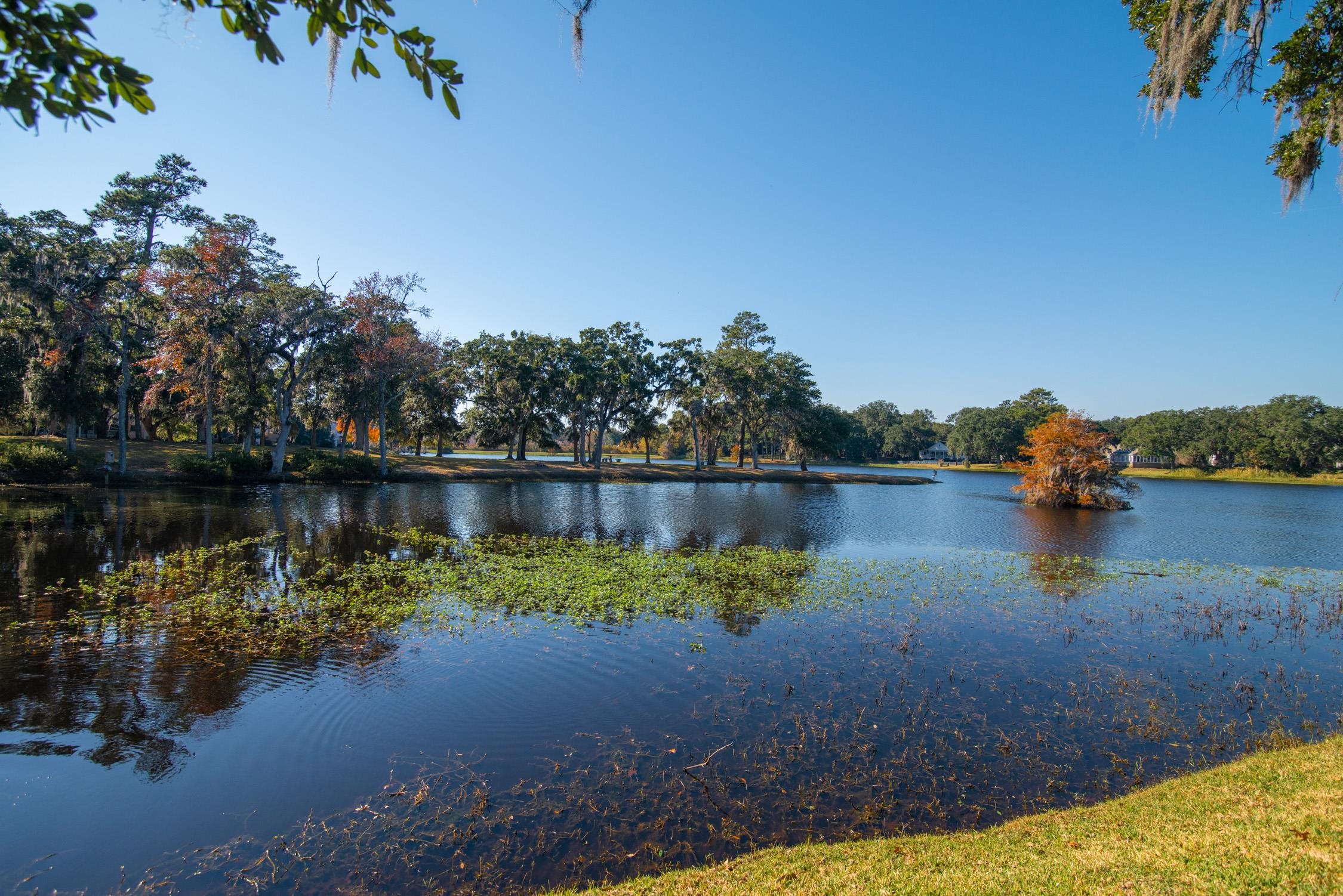 117 Finch Dr. Unit: 272