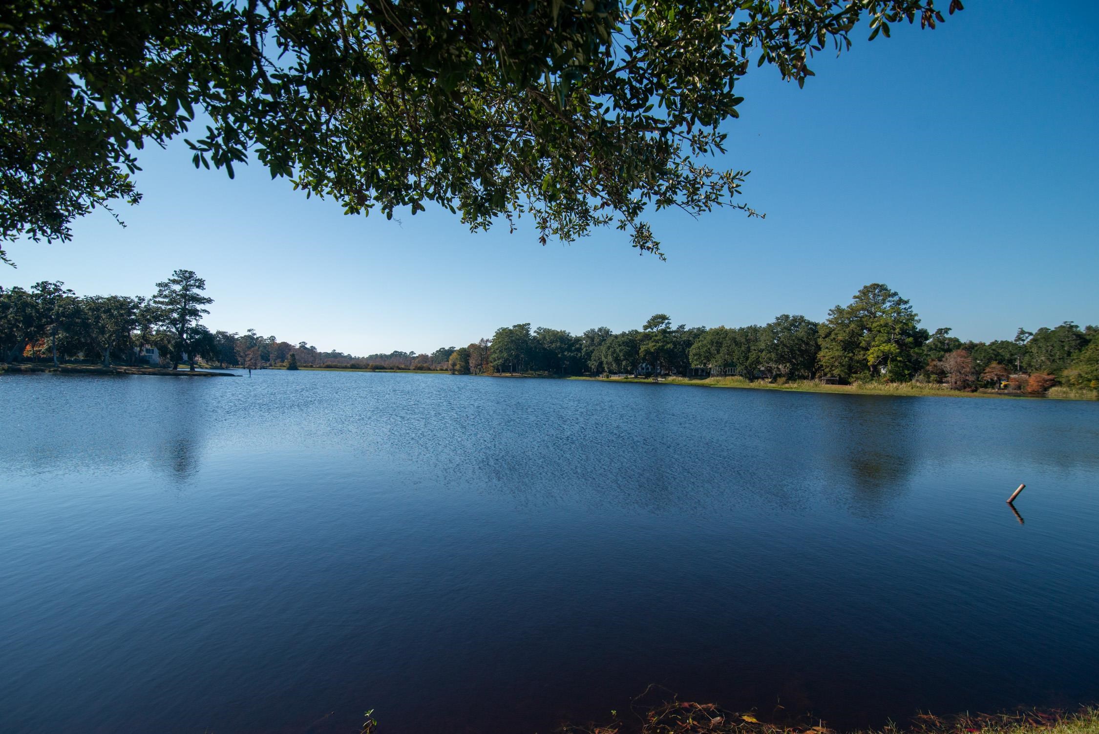 117 Finch Dr. Unit: 272