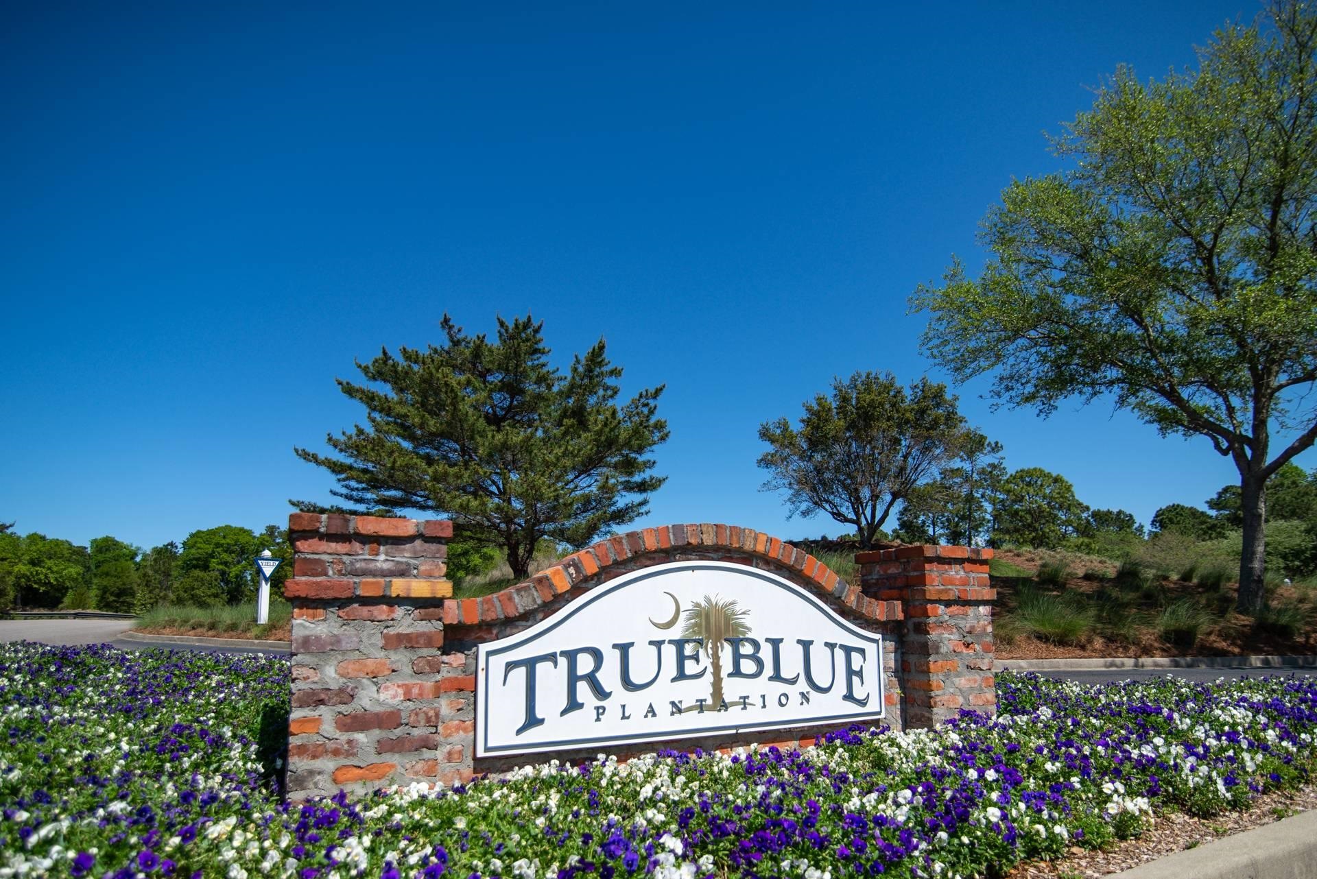 1125 Blue Stem Dr. Unit: 29E