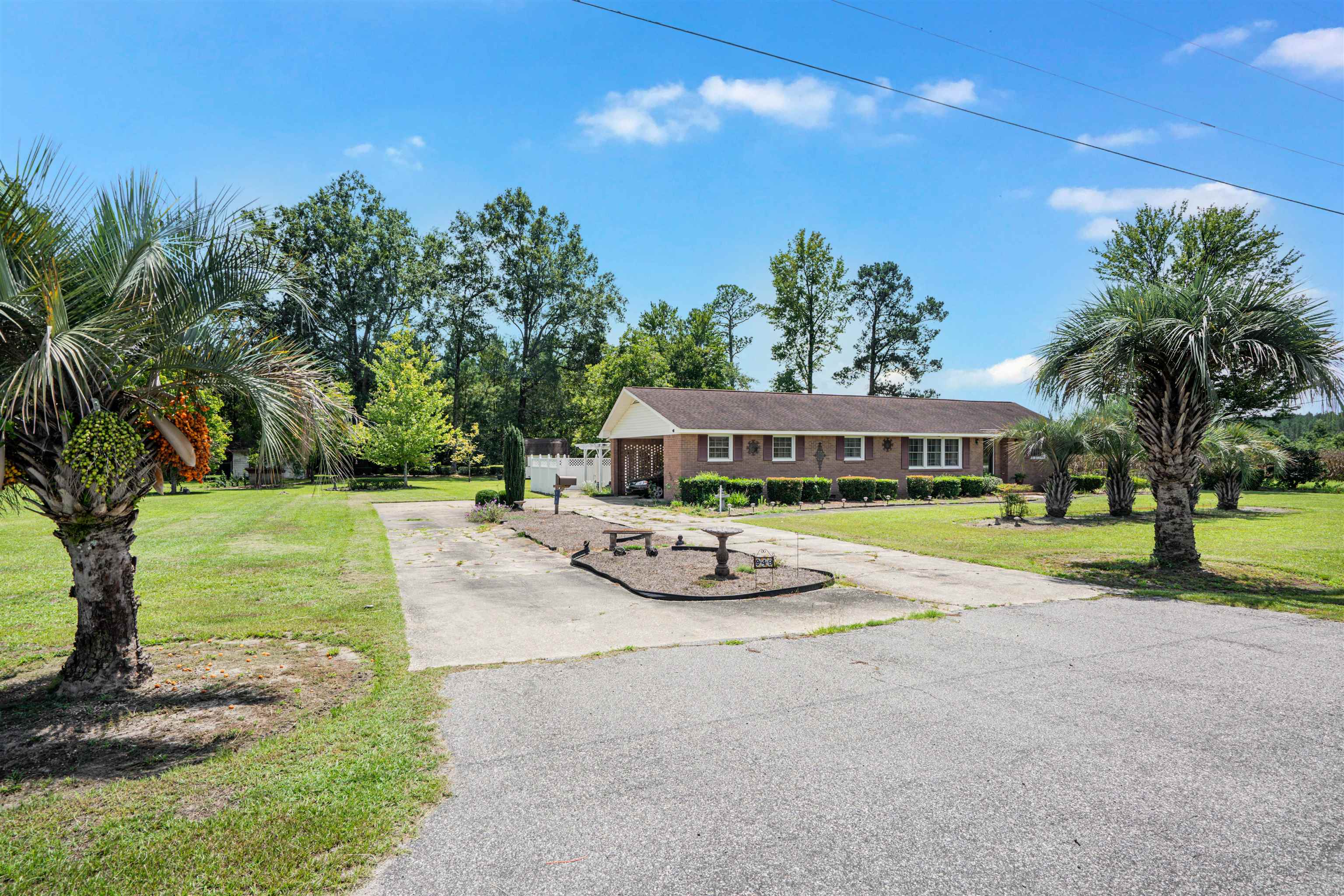 Single-story brick house with a broad driveway, spacious lawn, and palm trees.