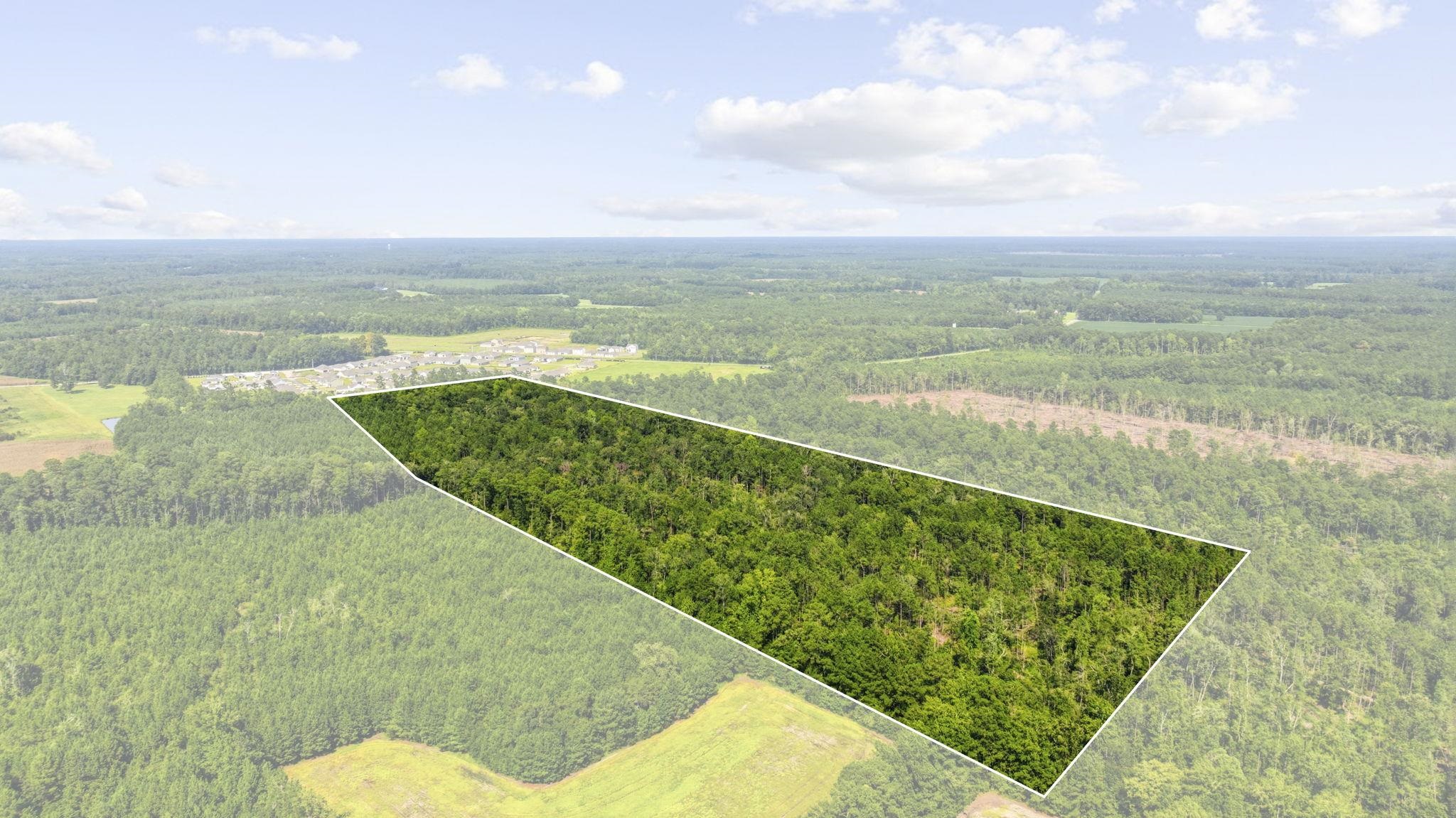 Aerial view of a wooded parcel outlined in white, with forest and fields around it.