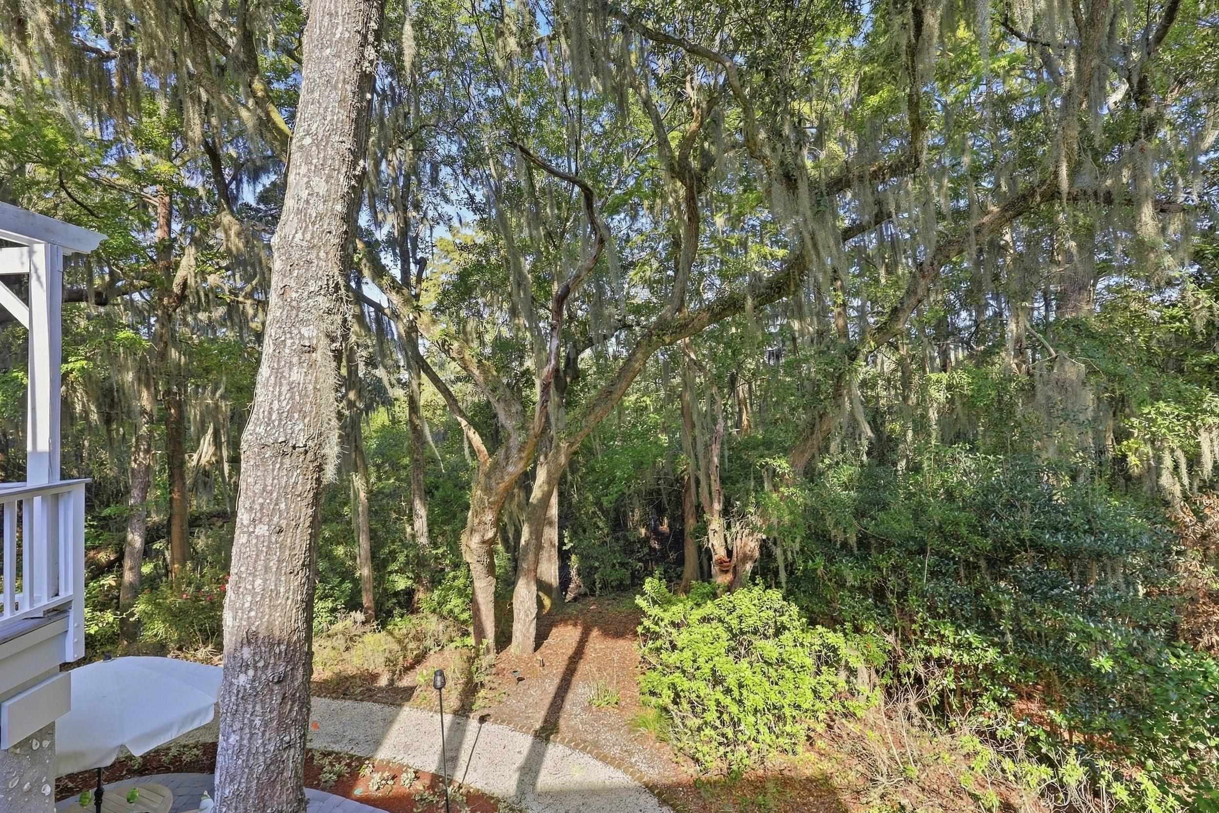 49 Red Squirrel Ln.
