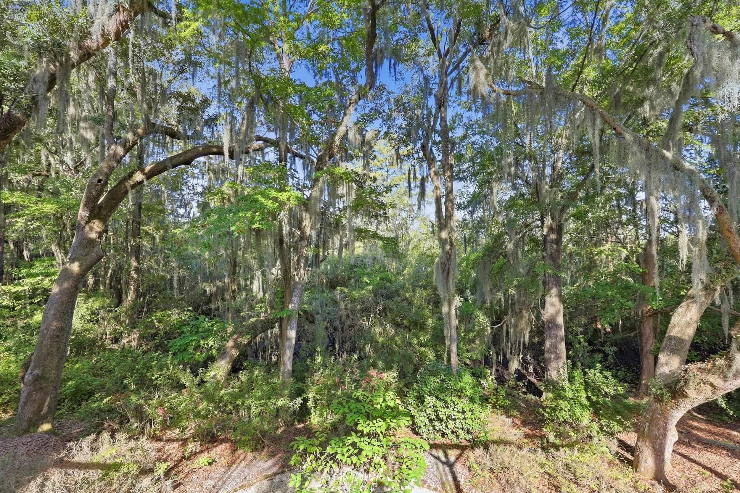 49 Red Squirrel Ln.