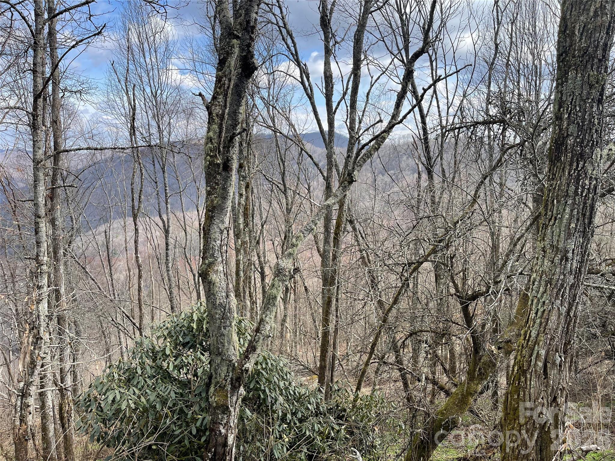 Lot #39 Ridge Top Circle