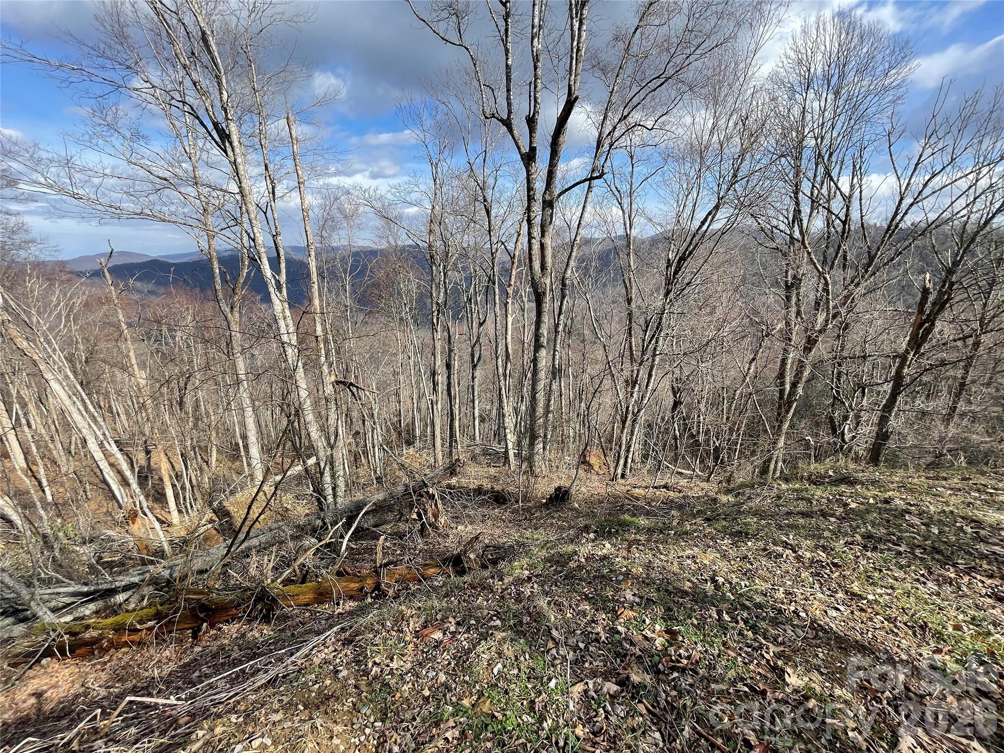 Lot #39 Ridge Top Circle