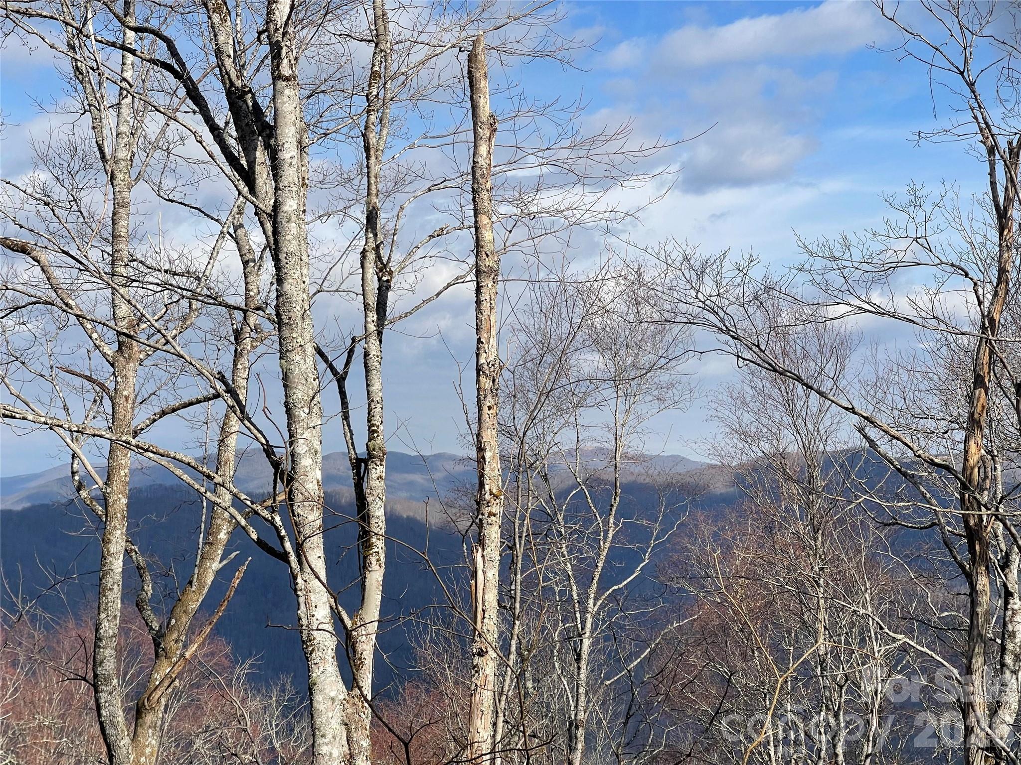 Lot #39 Ridge Top Circle