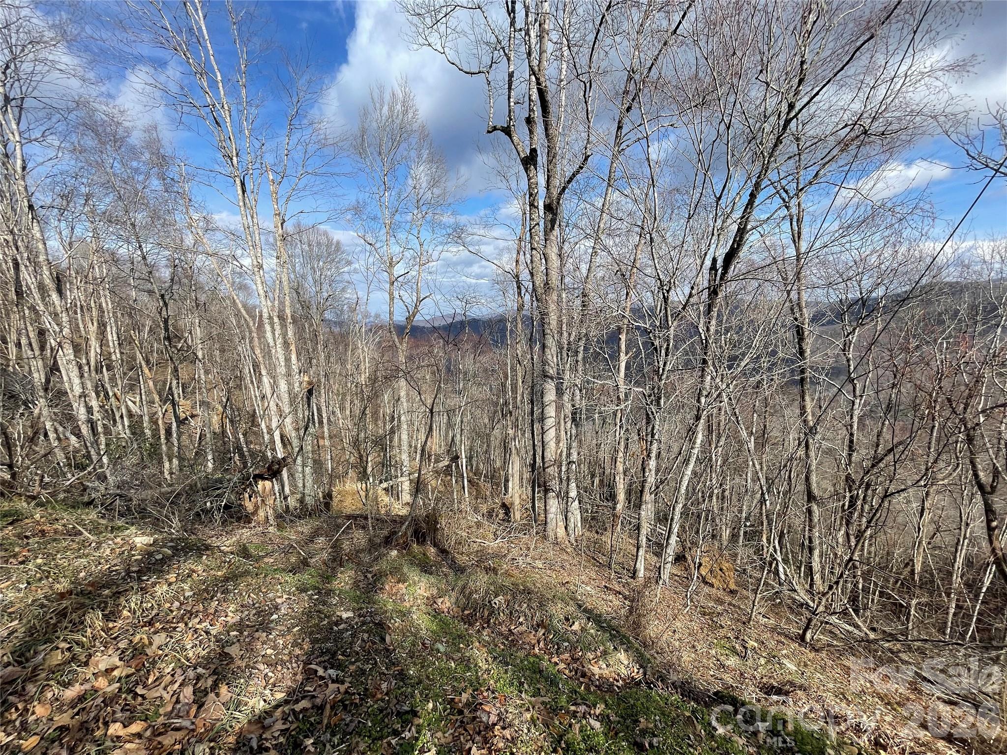 Lot #39 Ridge Top Circle