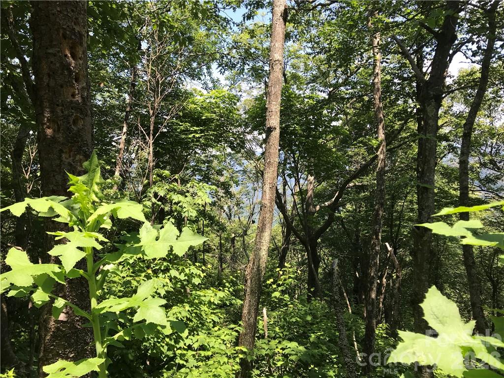 Lot #39 Ridge Top Circle