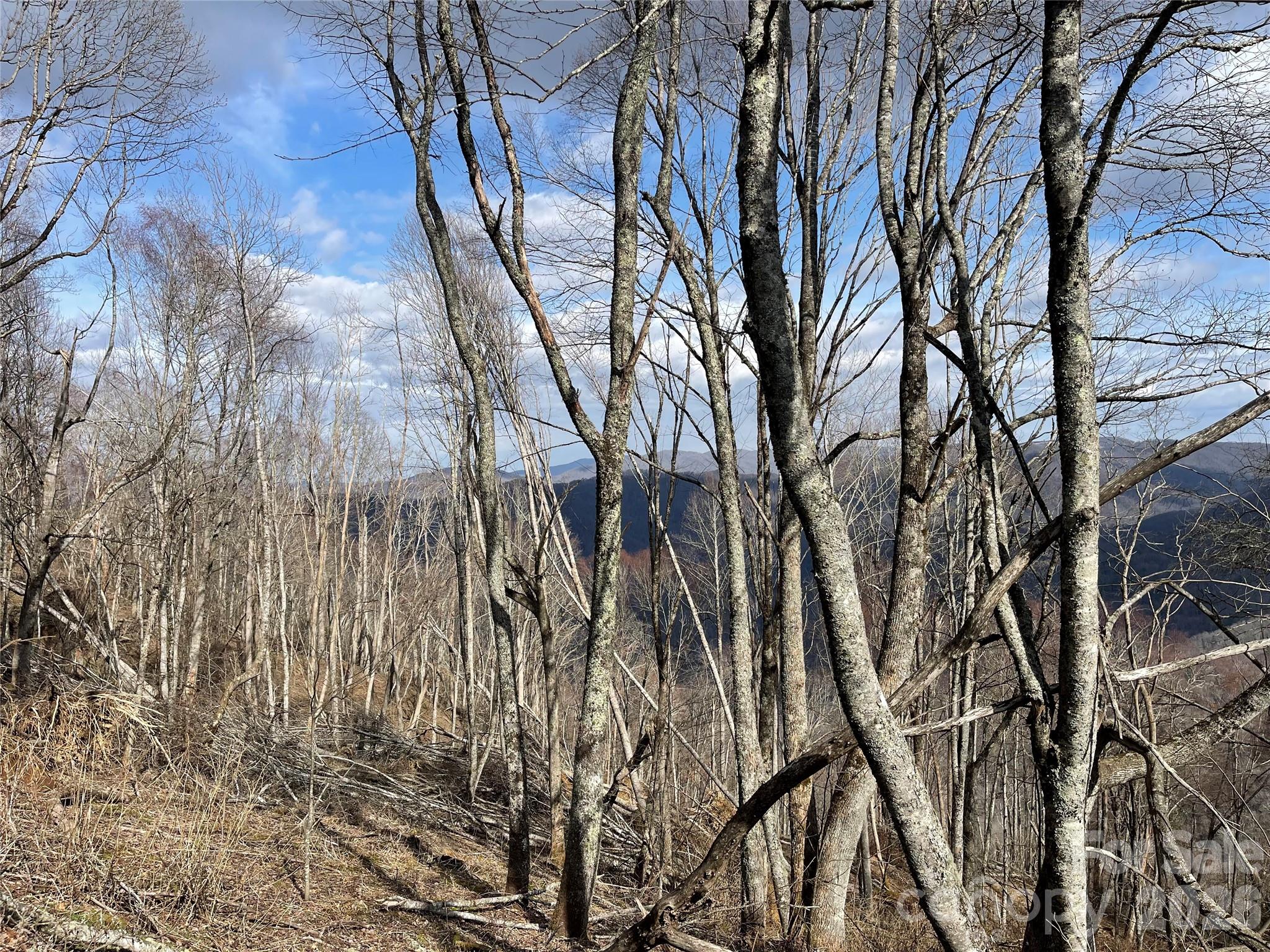Lot #39 Ridge Top Circle