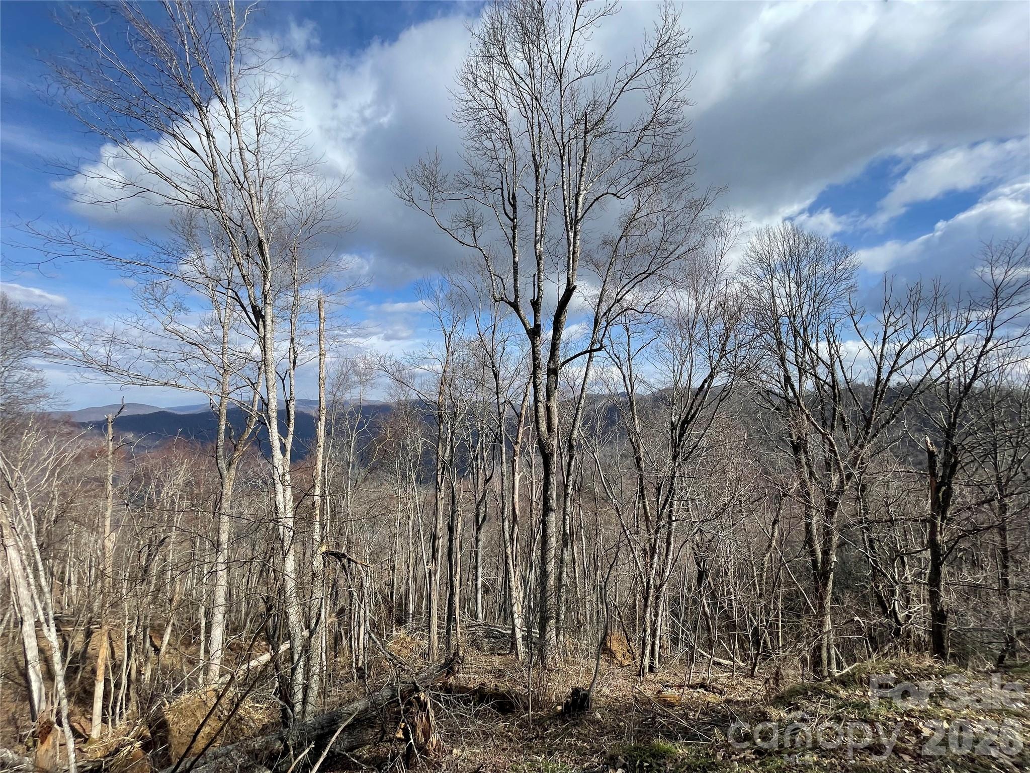 Lot #39 Ridge Top Circle
