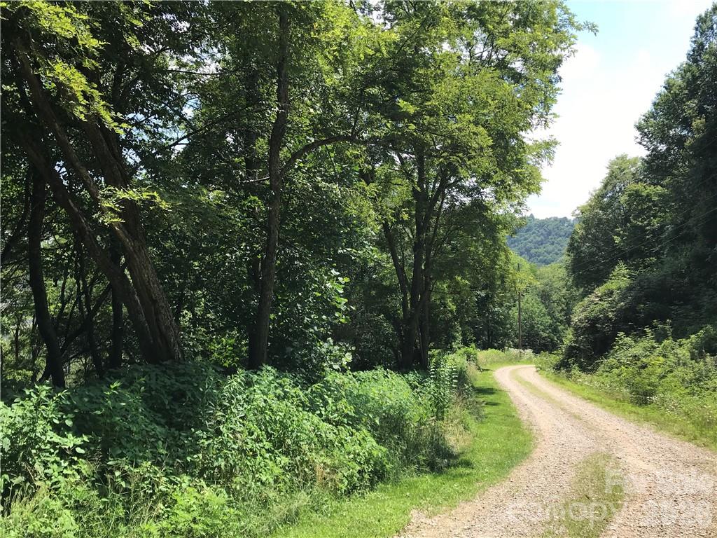Wooded lot with a curving gravel road and distant mountain ridge.