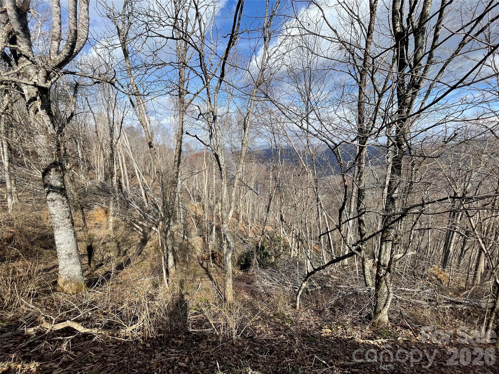 Lot #39 Ridge Top Circle