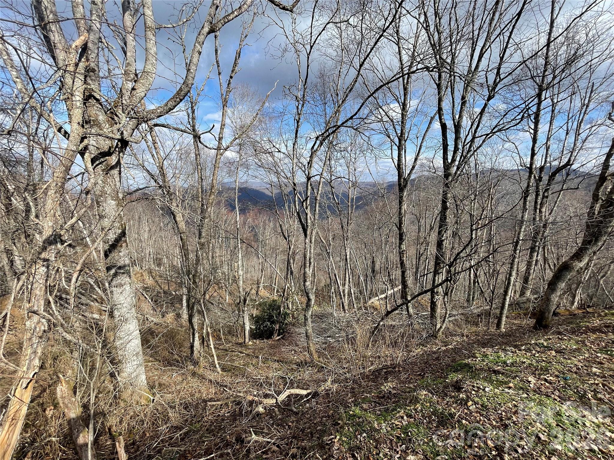Lot #39 Ridge Top Circle