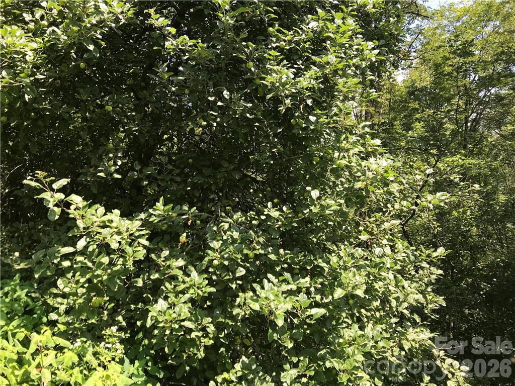 Lot #39 Ridge Top Circle