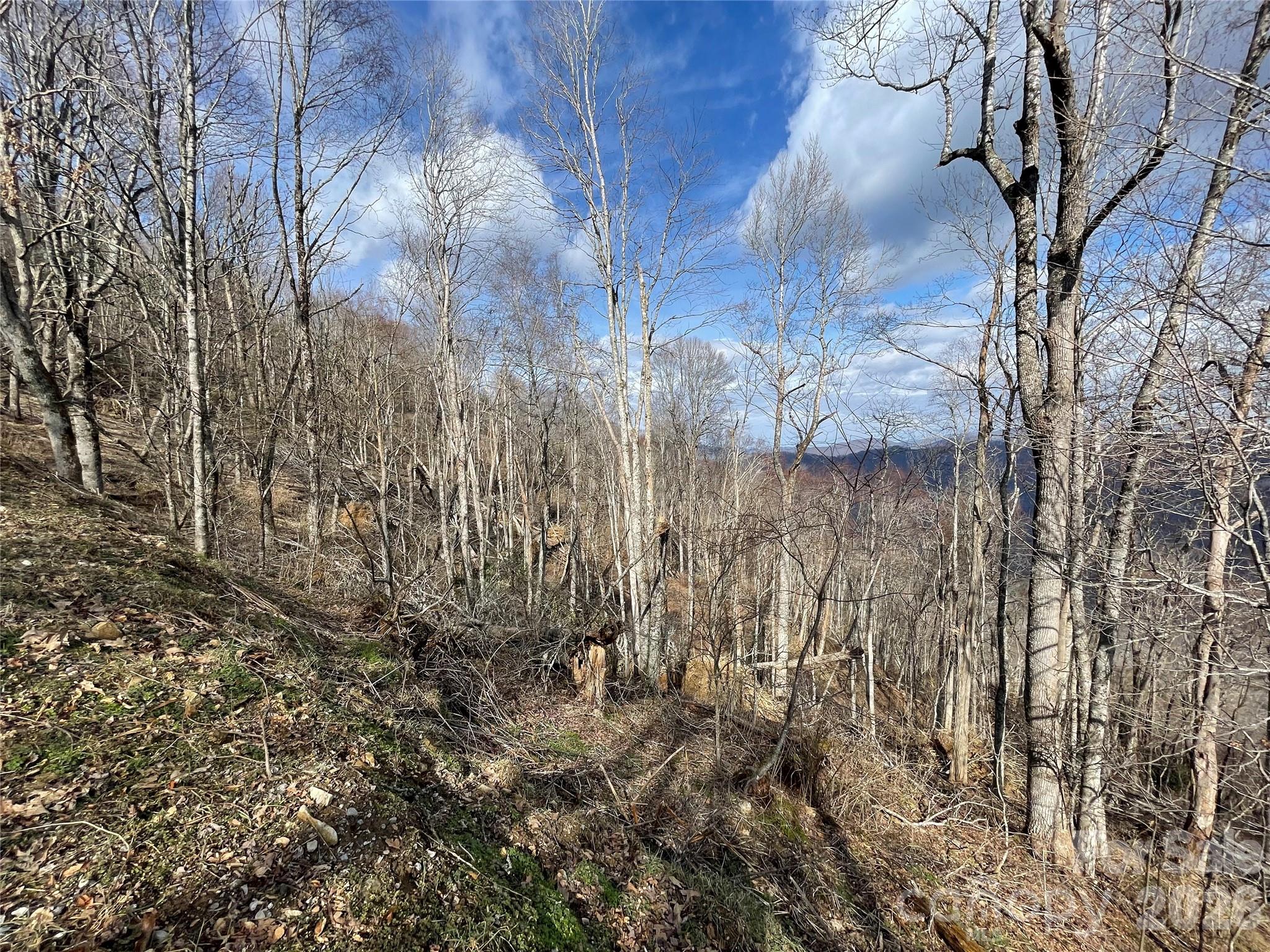 Lot #39 Ridge Top Circle