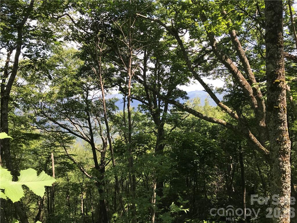 Lot #39 Ridge Top Circle
