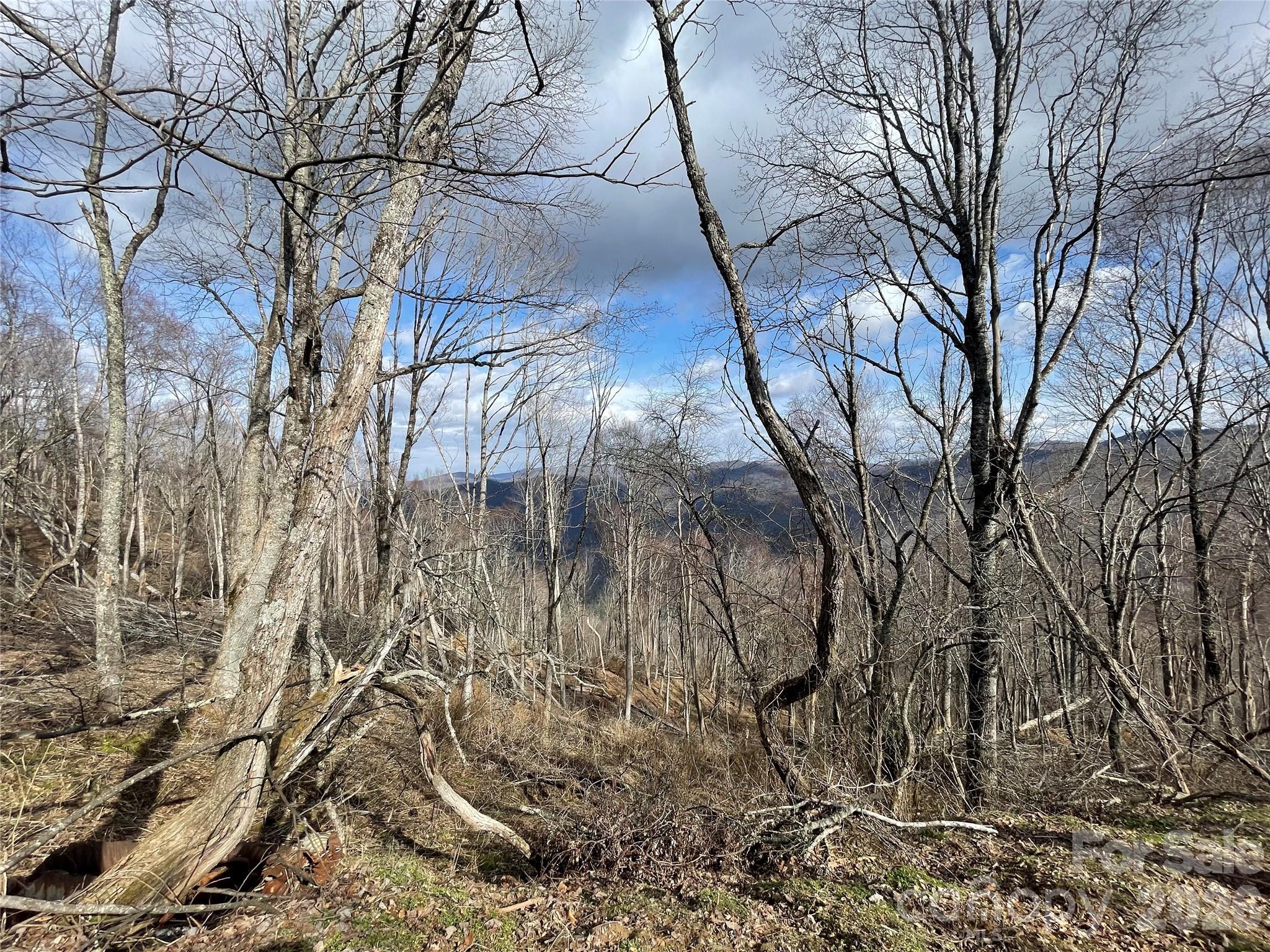 Lot #39 Ridge Top Circle