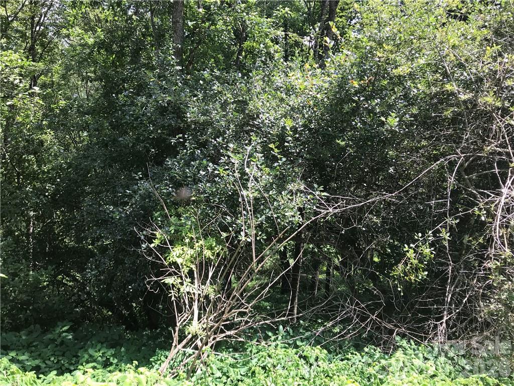 Lot #39 Ridge Top Circle