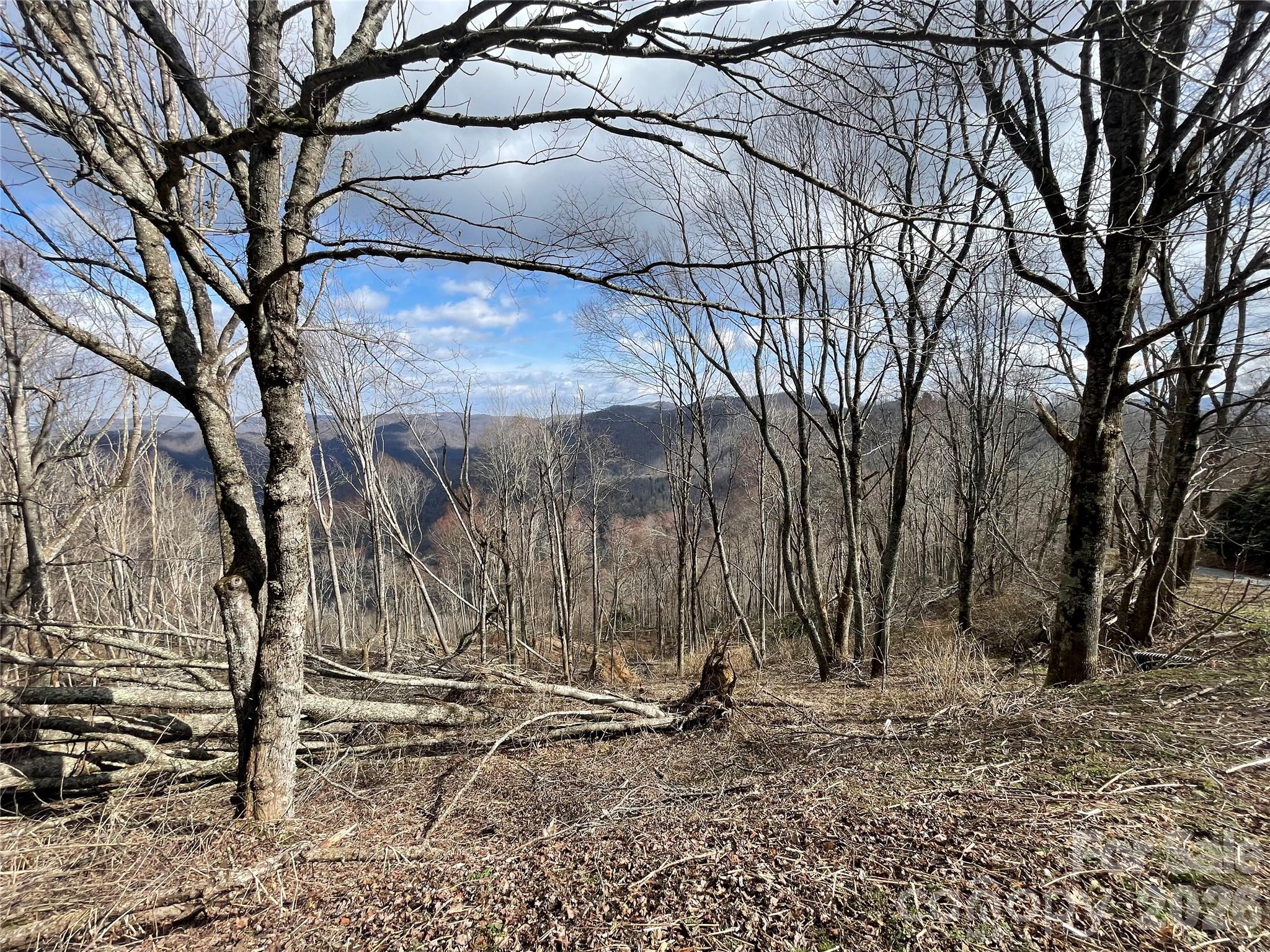 Lot #39 Ridge Top Circle
