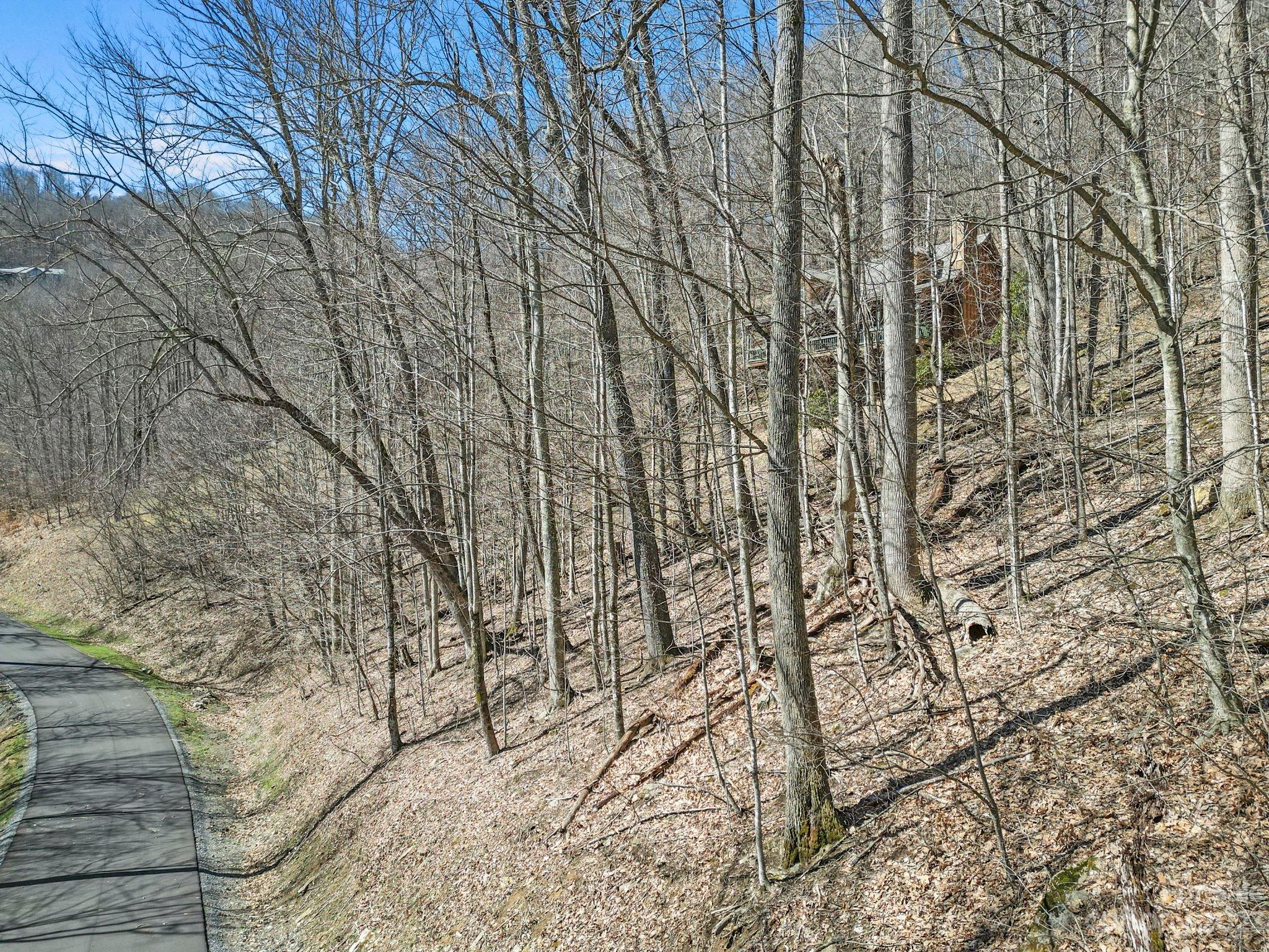 16 Chestnut Village Lane Unit: 16