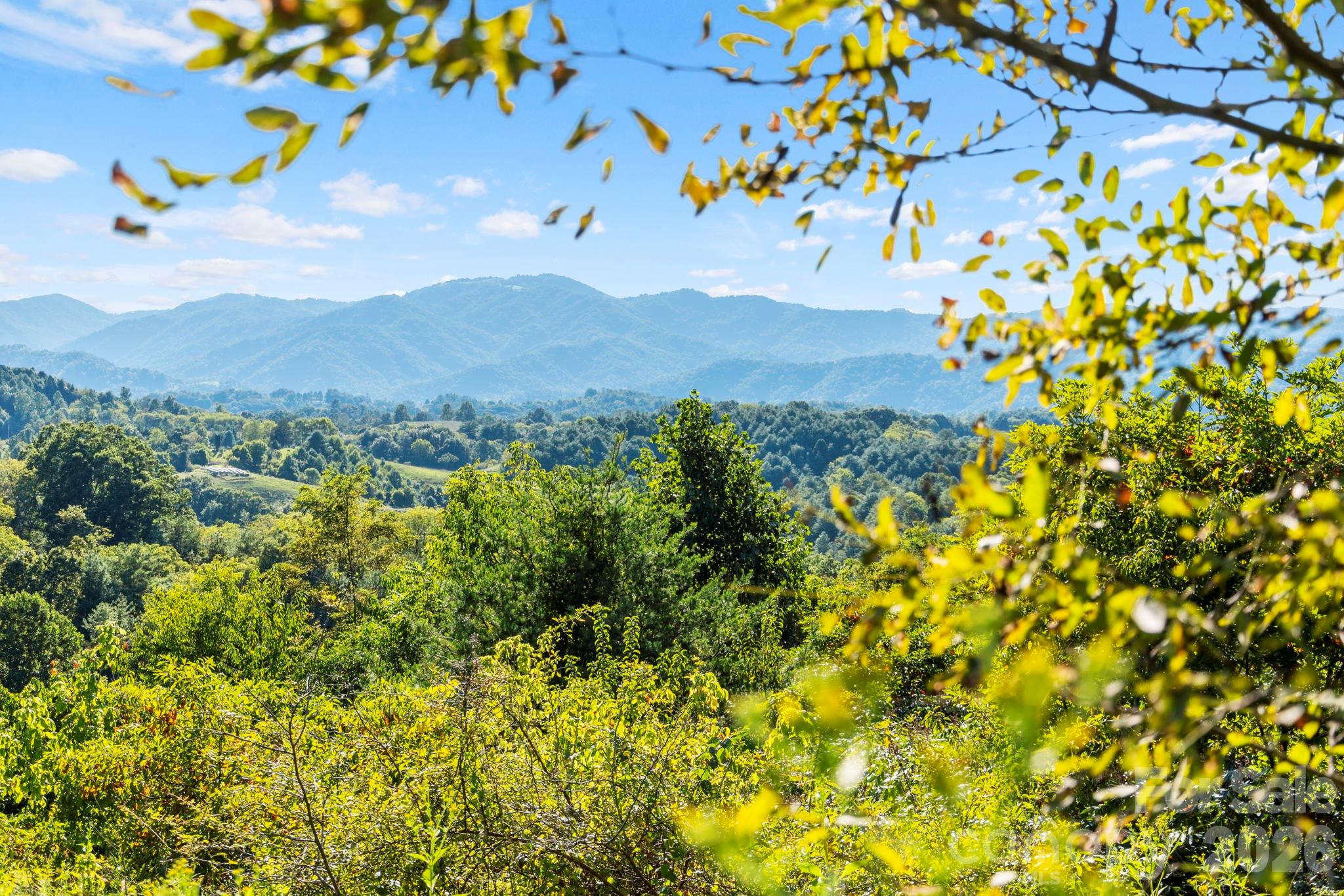 Wooded mountain view framed by leafy branches.