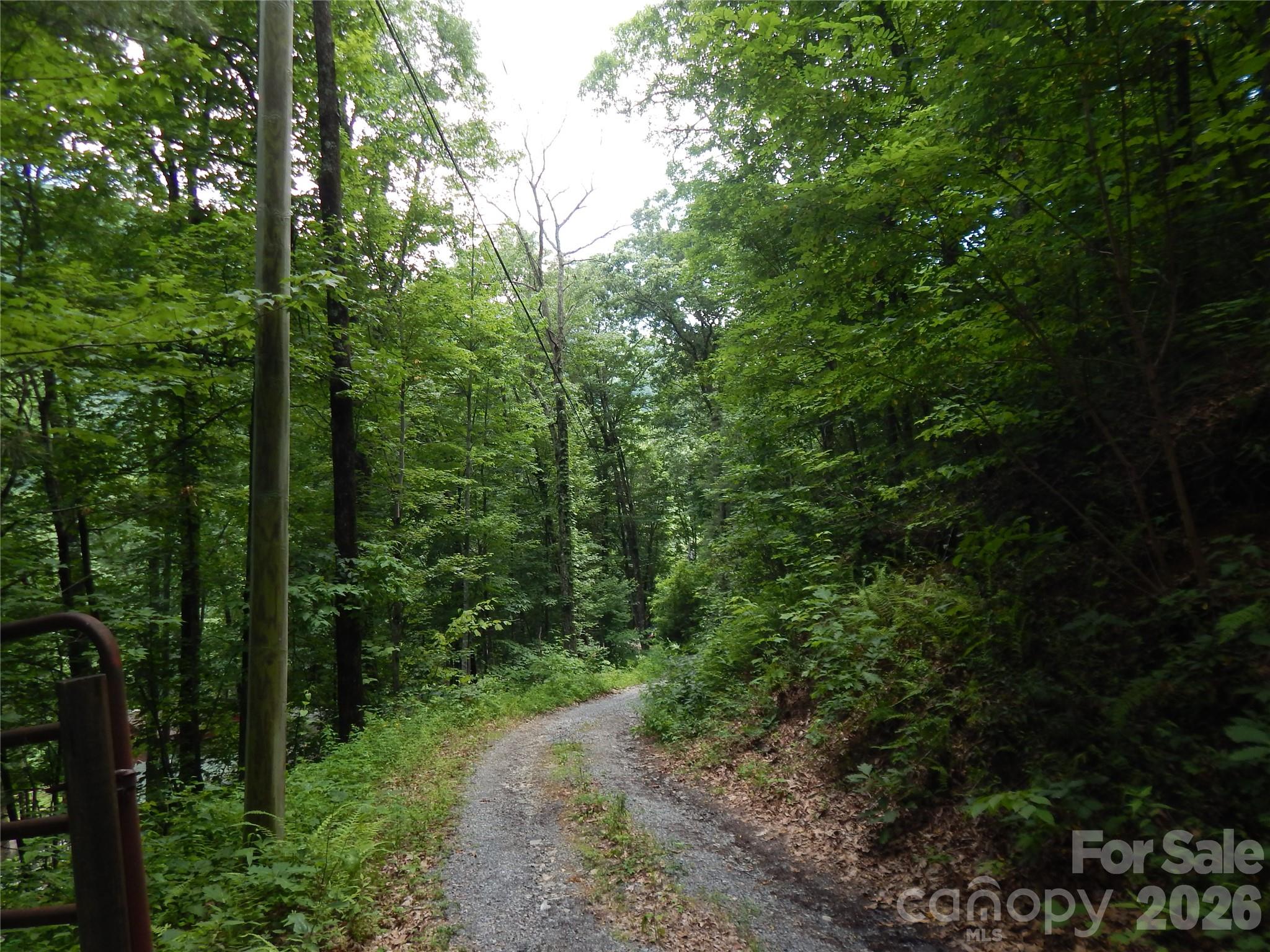 Gravel road winding through dense woods, with a utility pole and metal gate.