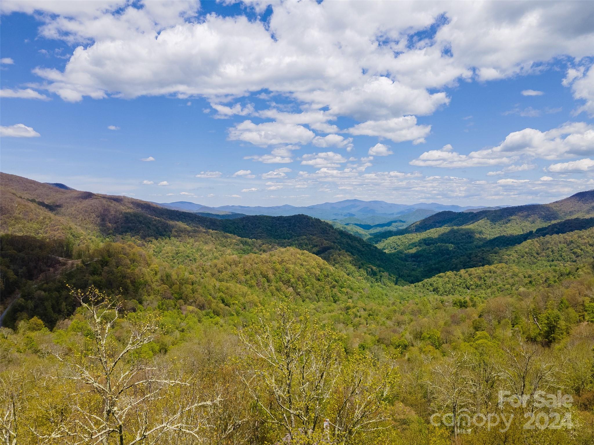 Mountain valley panorama with layered blue ridges, spring-green forest, and a cloud-filled sky.
