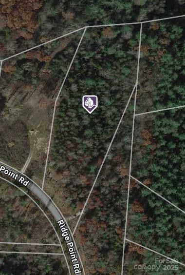 Wooded parcel along Ridge Point Road, outlined on an aerial map with a location marker.