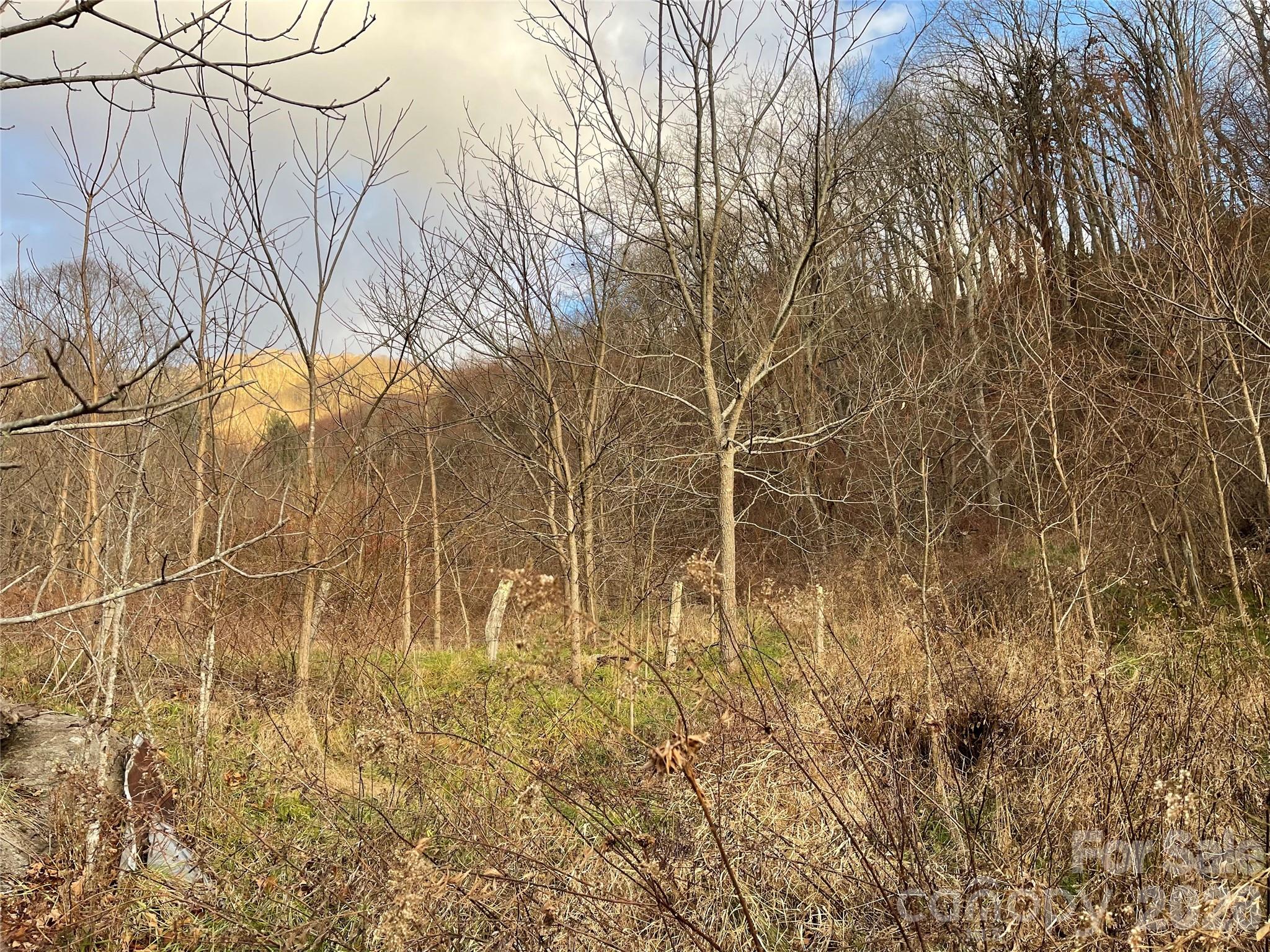 00 Wilson Cove Road