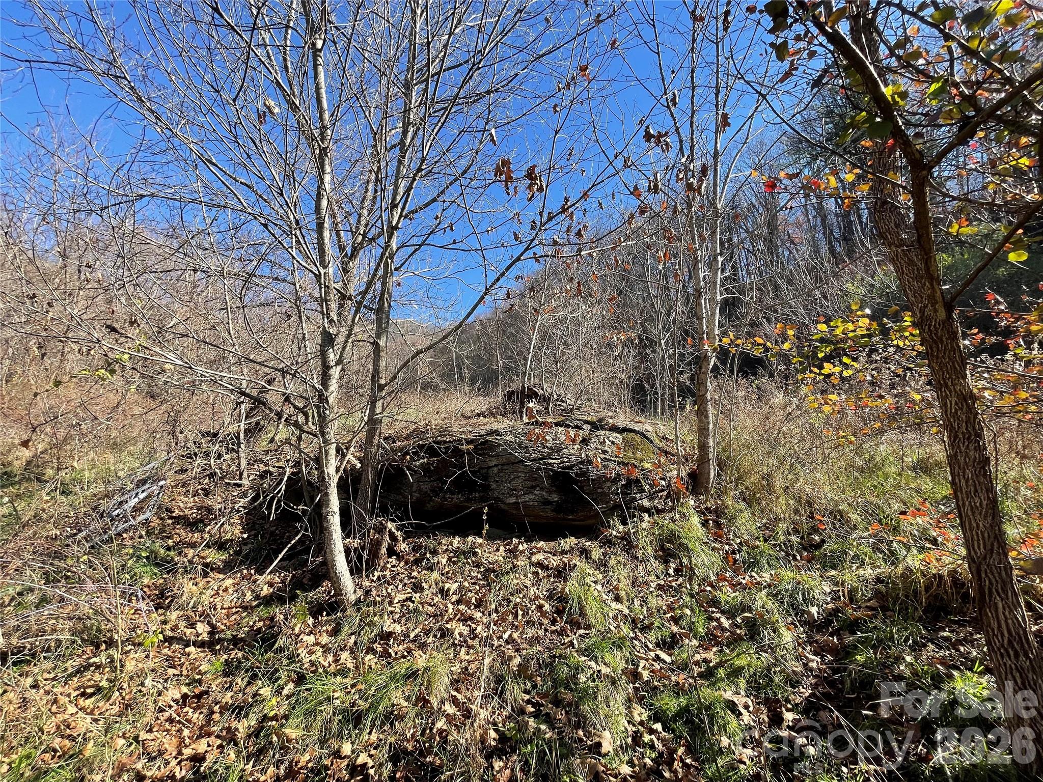 00 Wilson Cove Road
