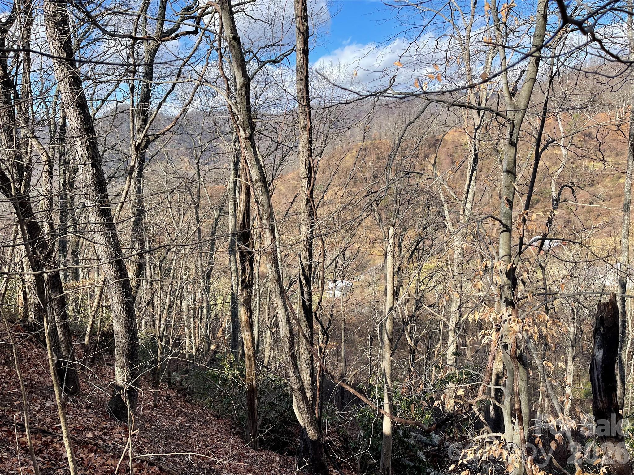 00 Wilson Cove Road