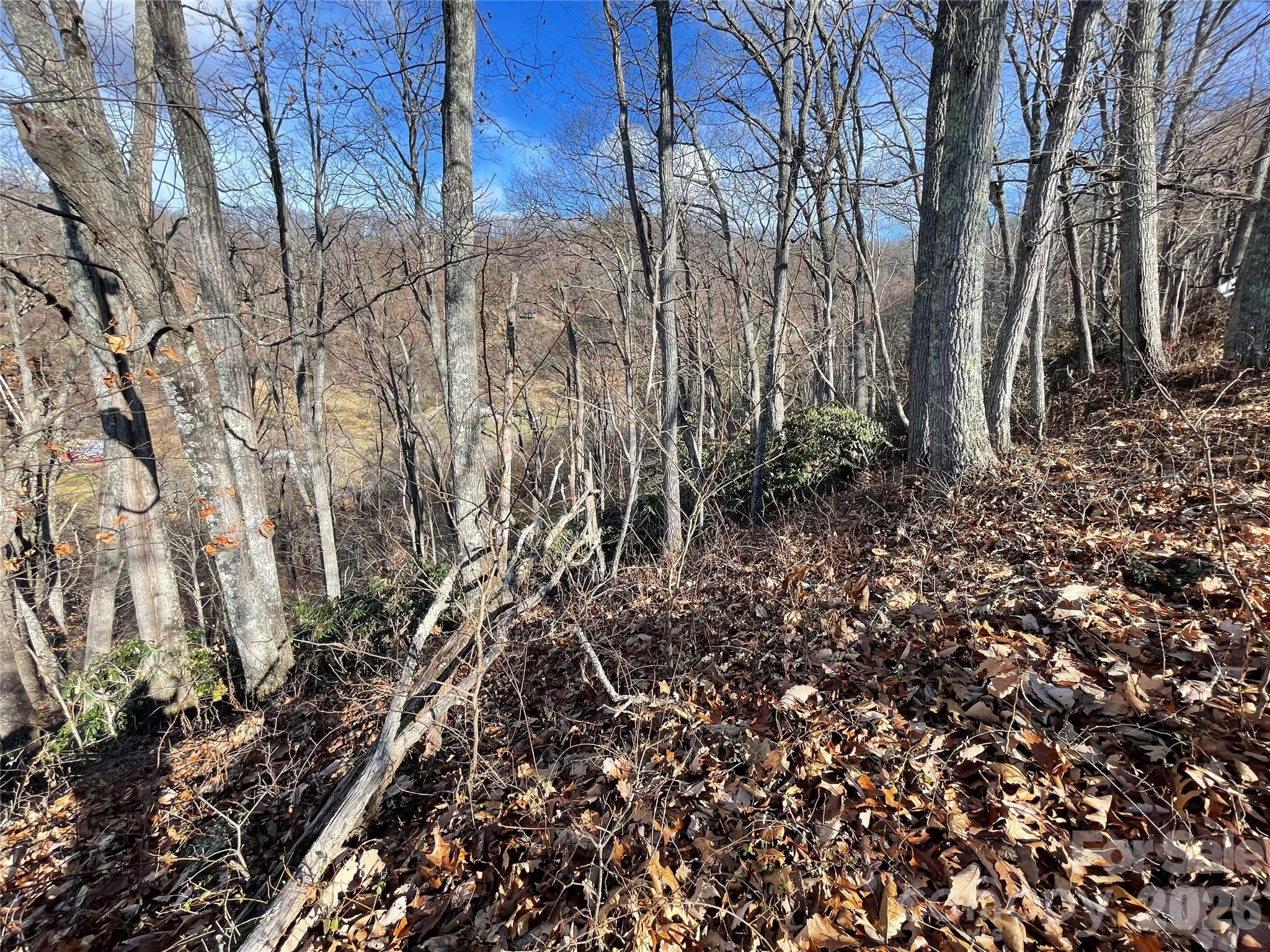 00 Wilson Cove Road