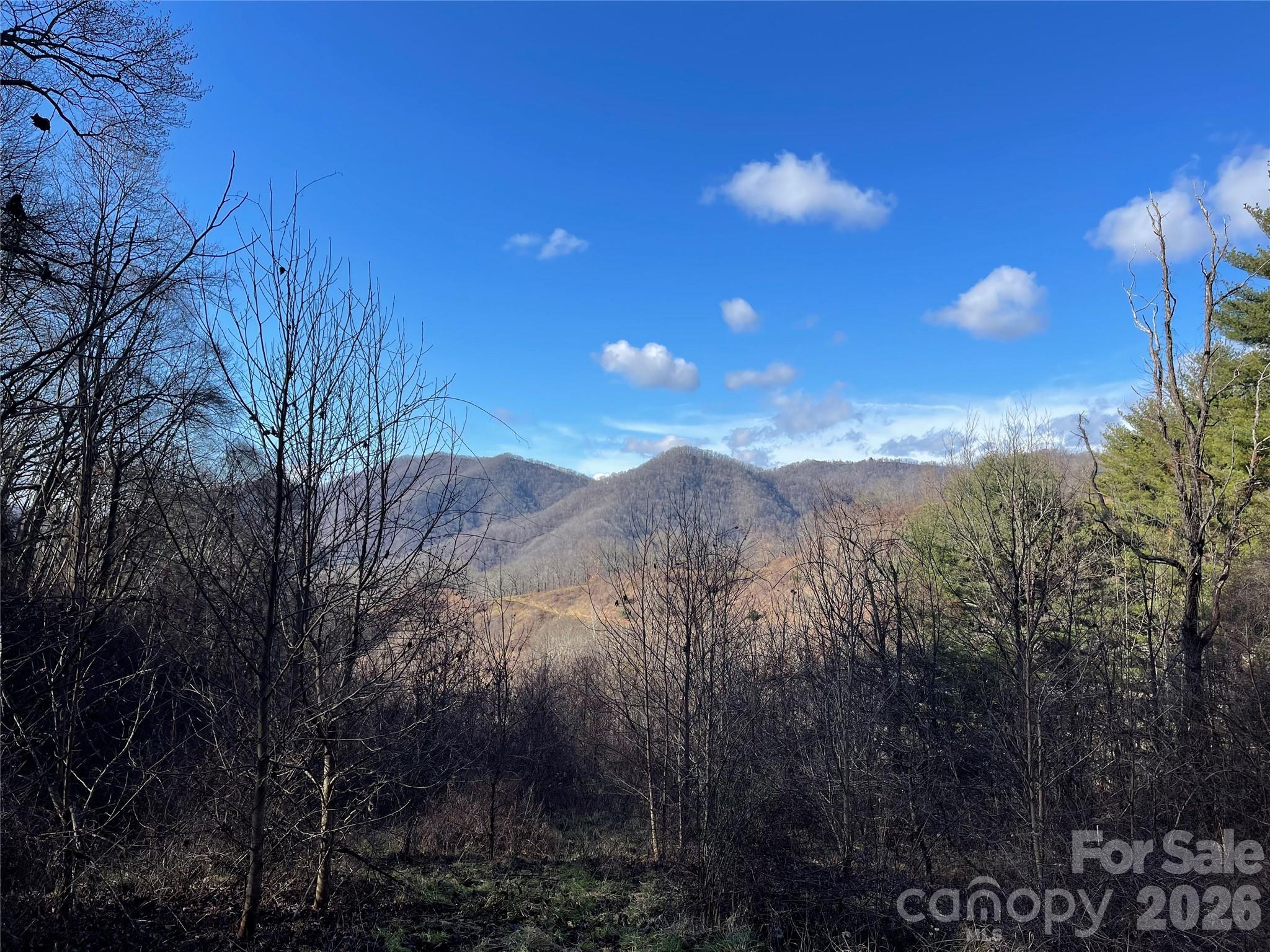 00 Wilson Cove Road