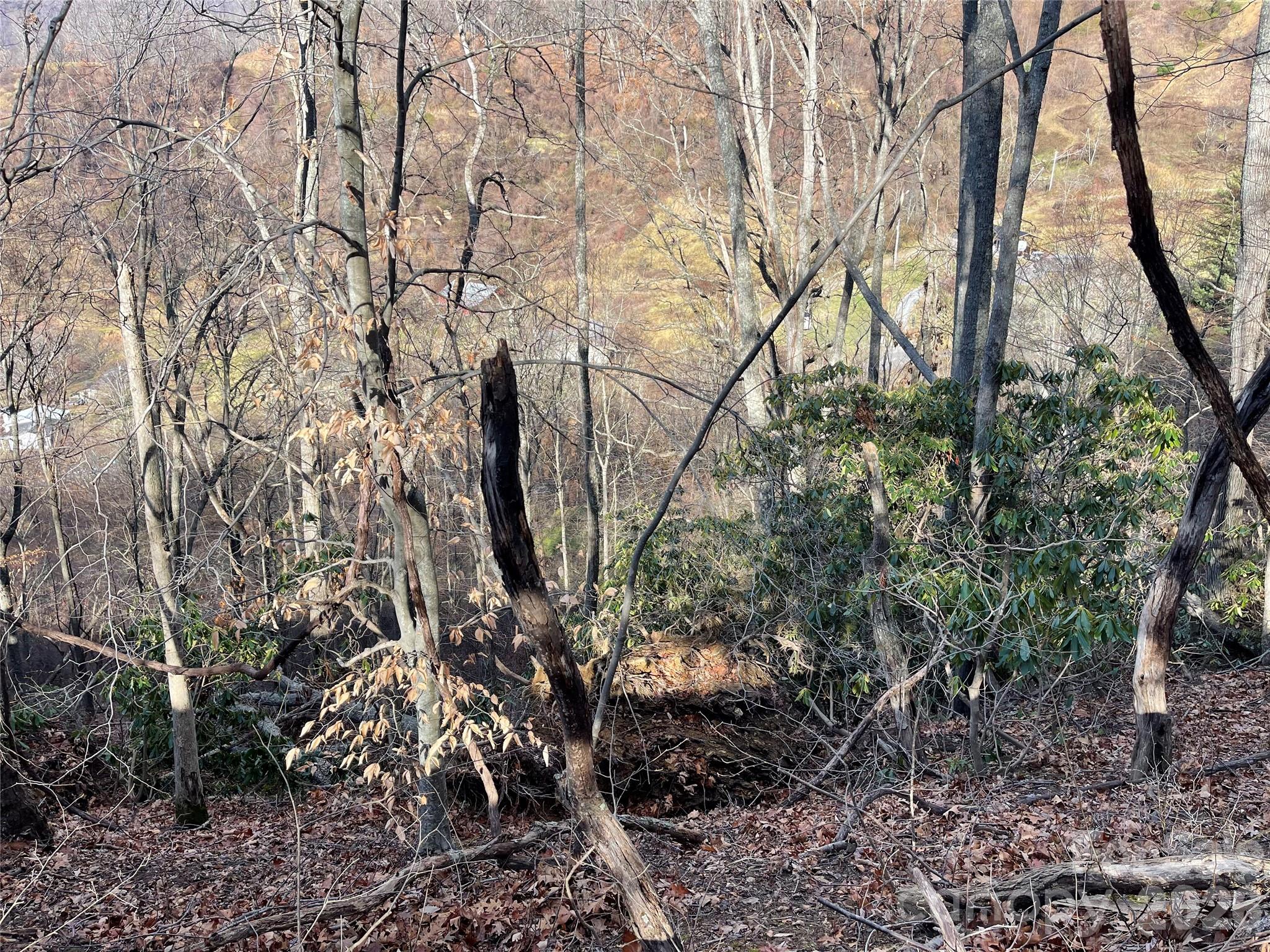 00 Wilson Cove Road