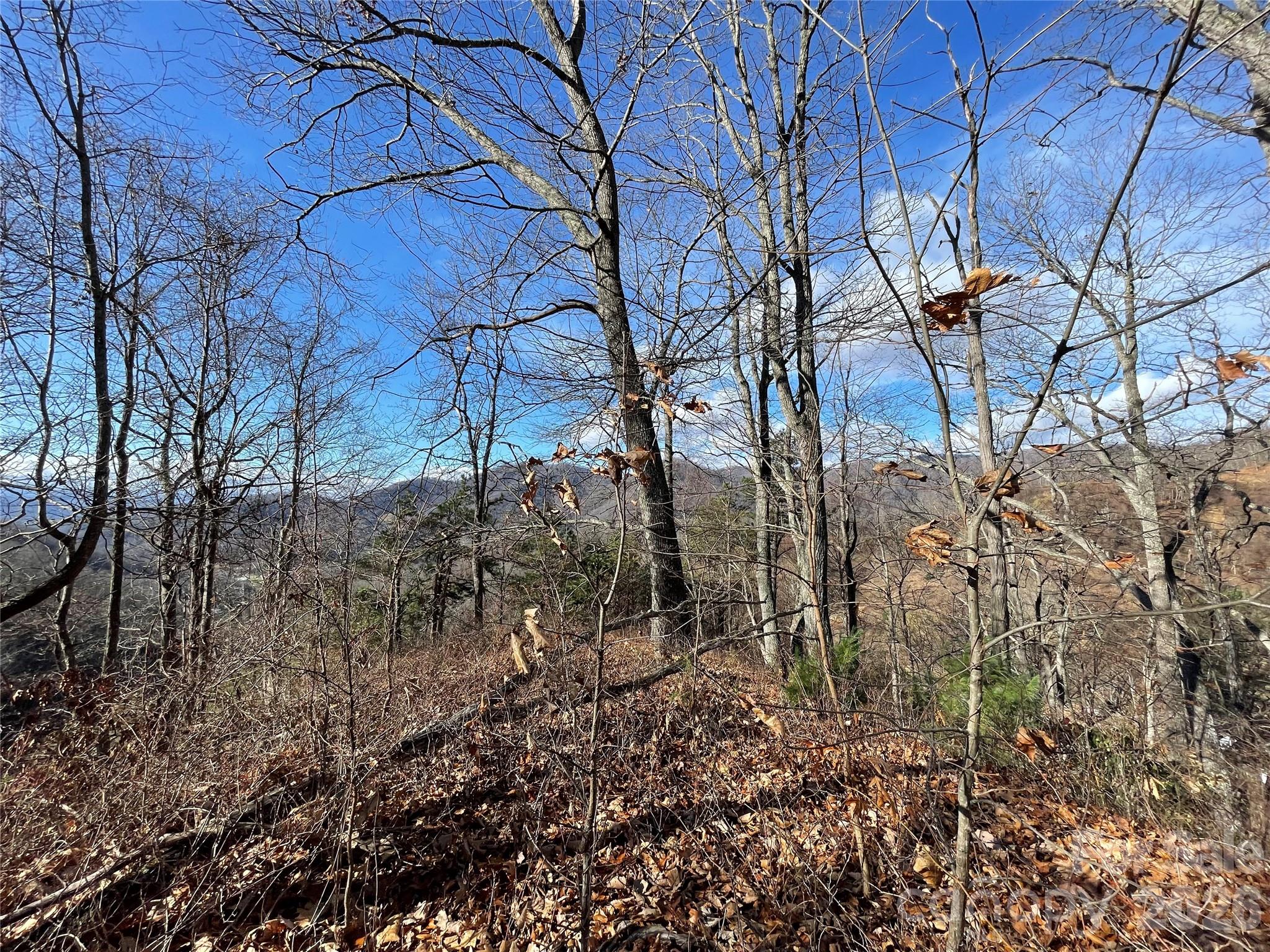 00 Wilson Cove Road