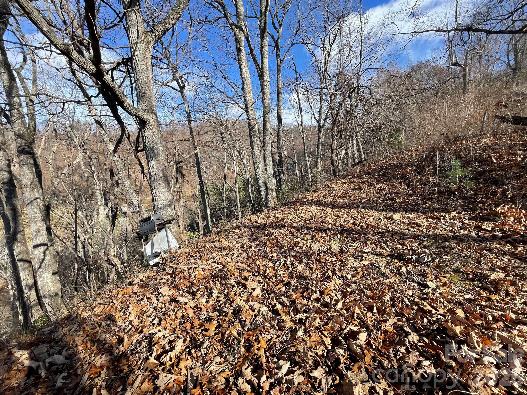 00 Wilson Cove Road