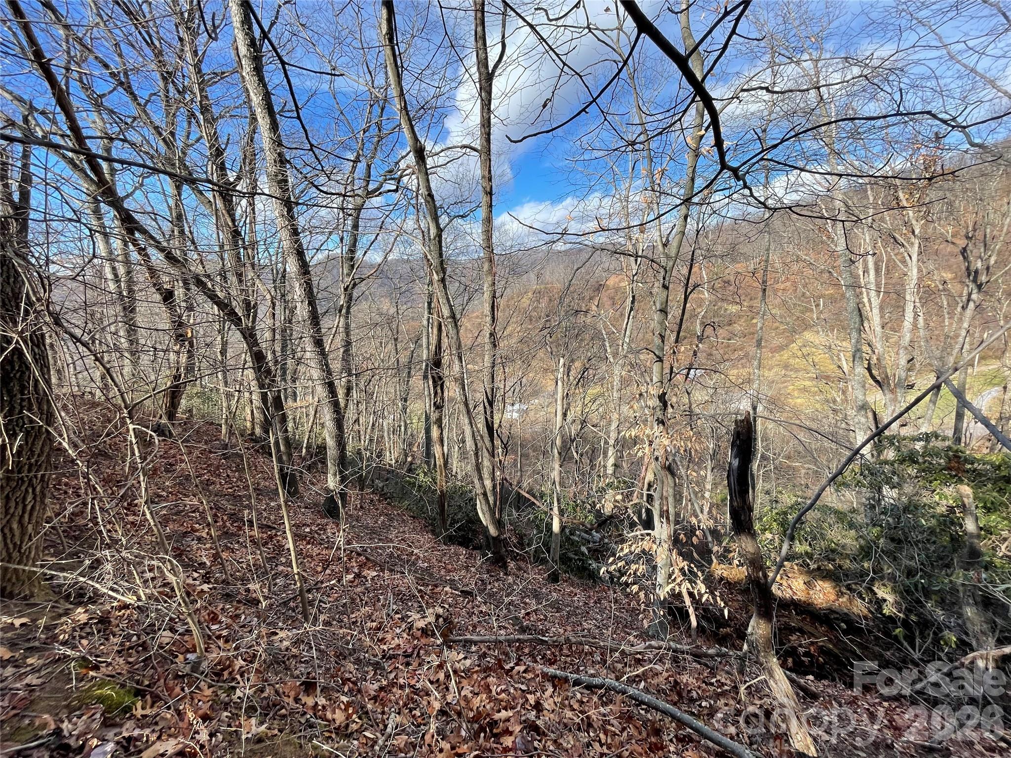 00 Wilson Cove Road