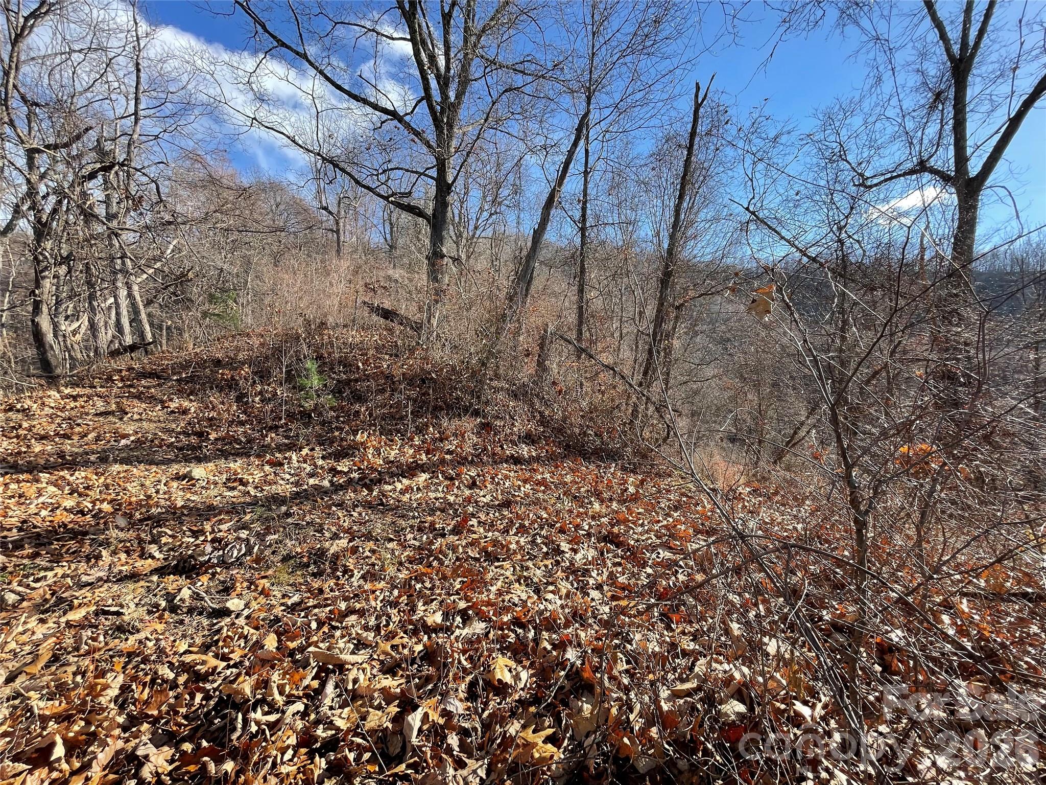 00 Wilson Cove Road