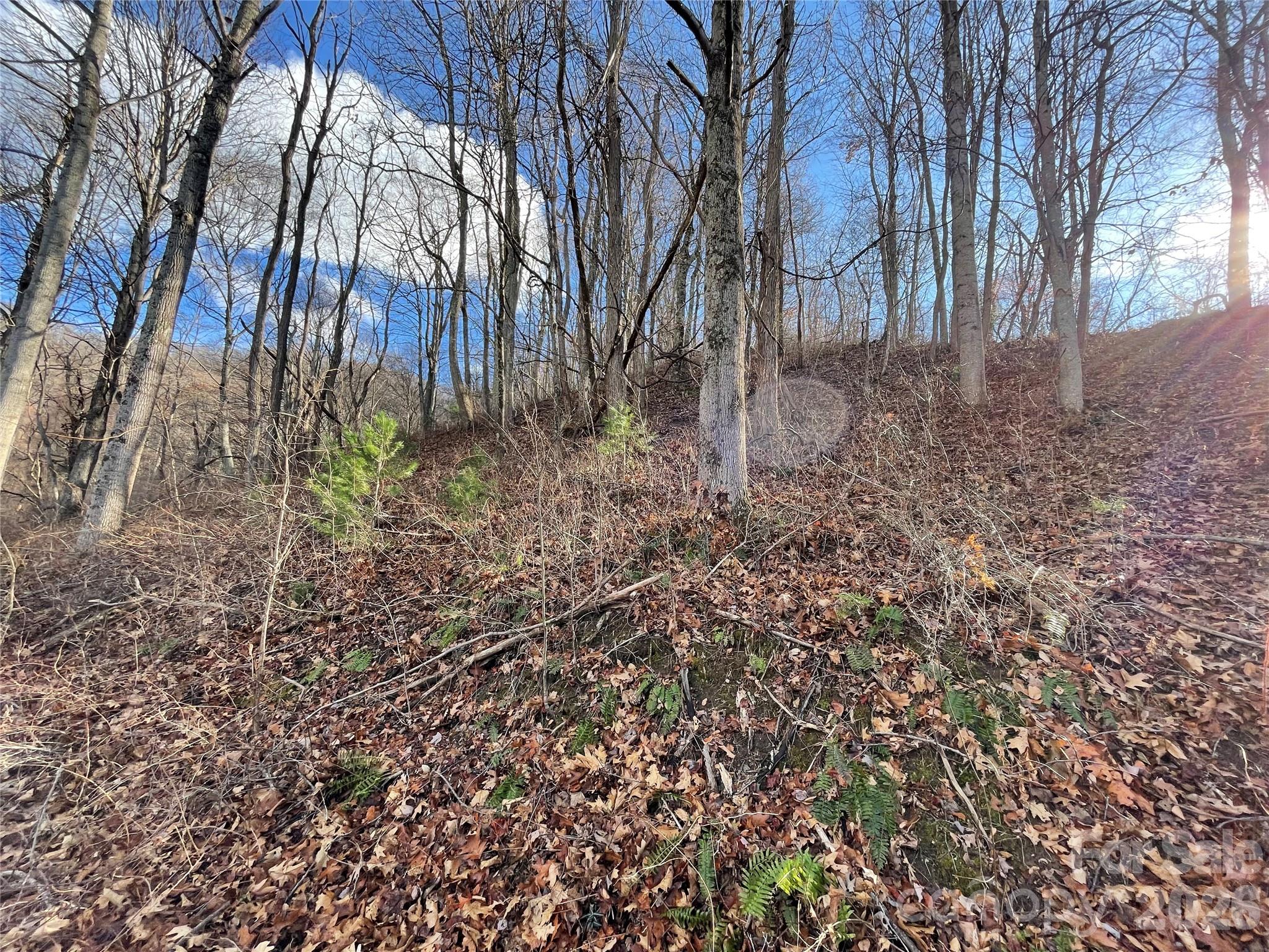00 Wilson Cove Road