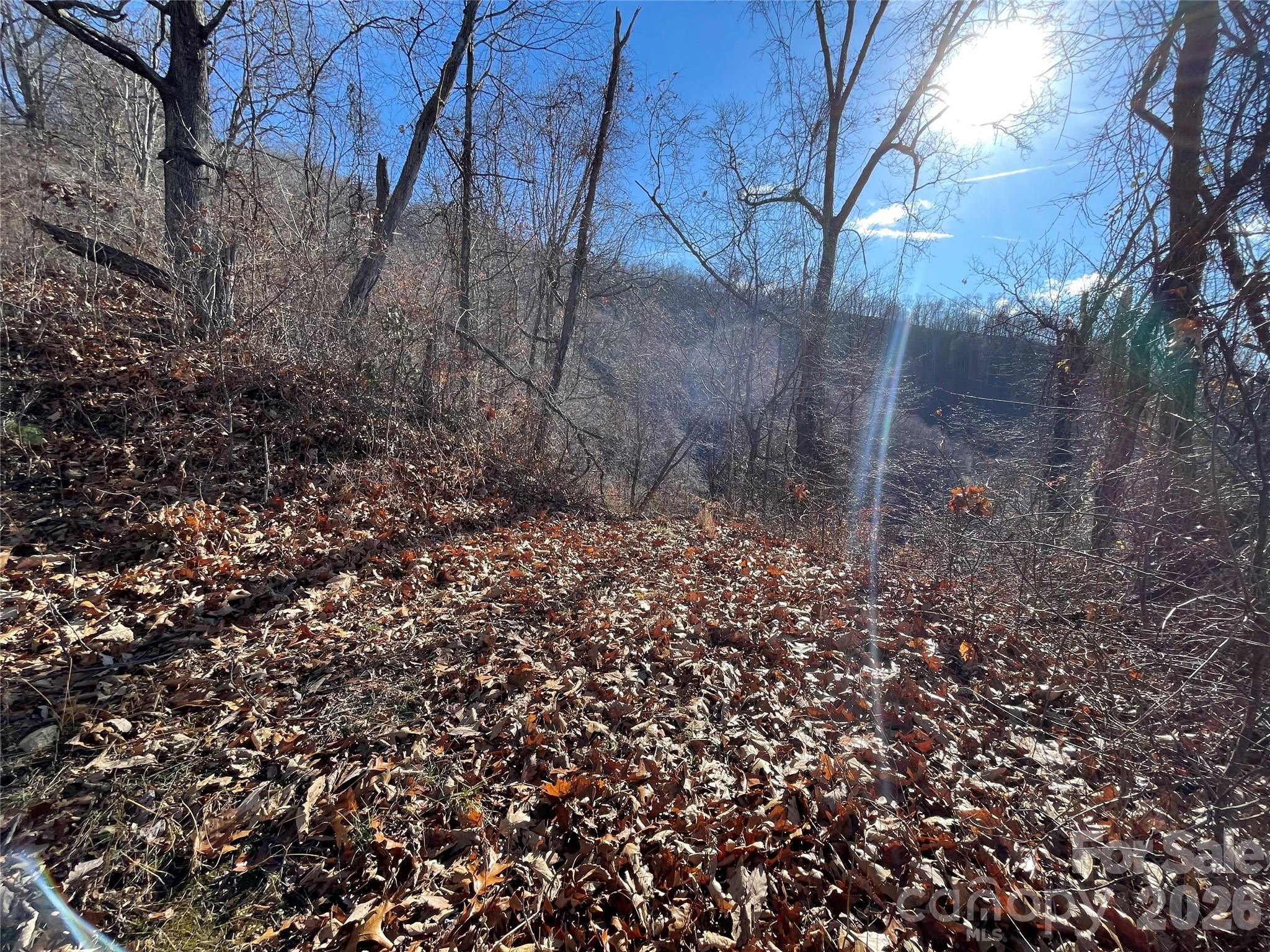 00 Wilson Cove Road