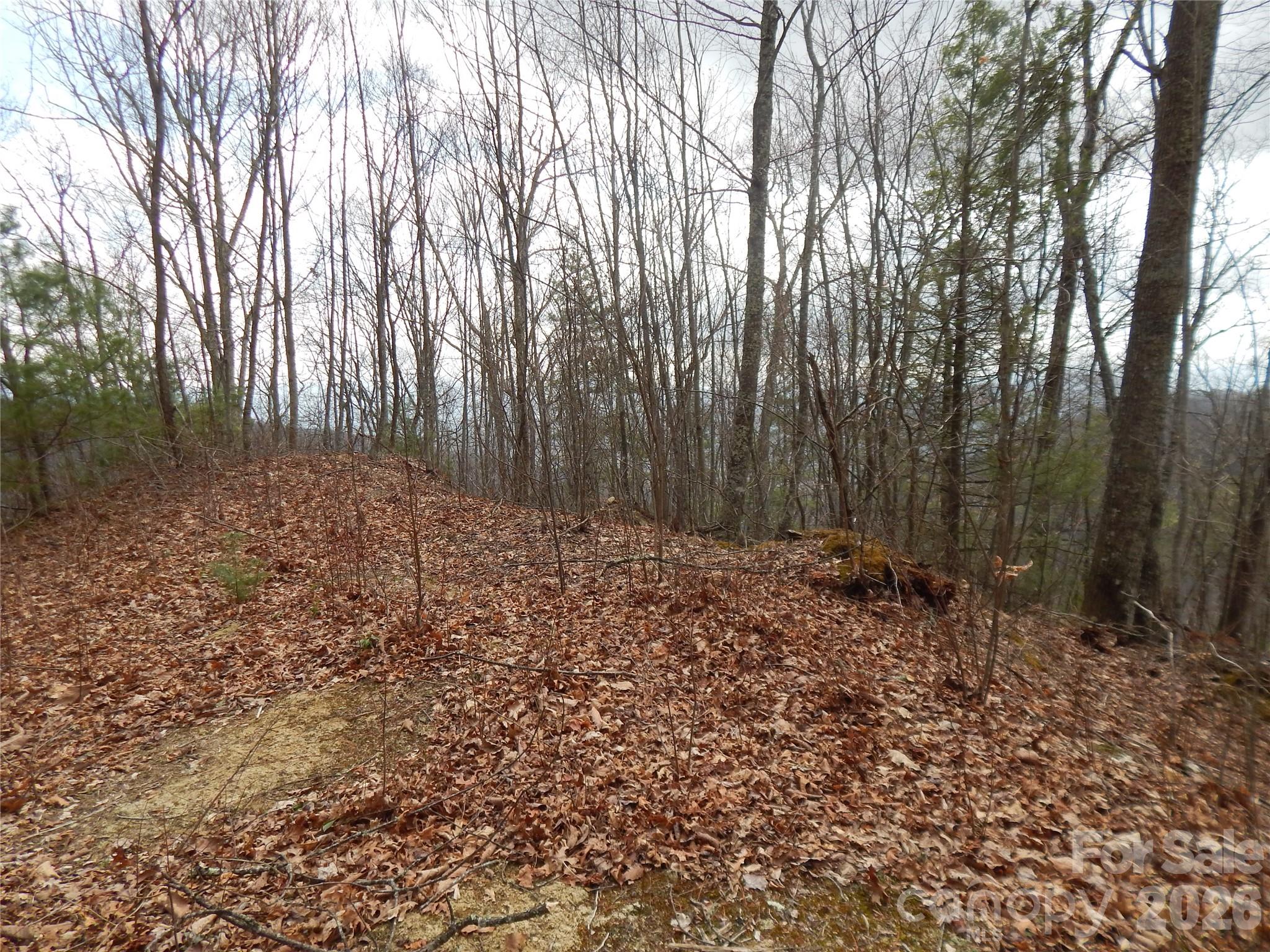 5 Sigogglin Trail