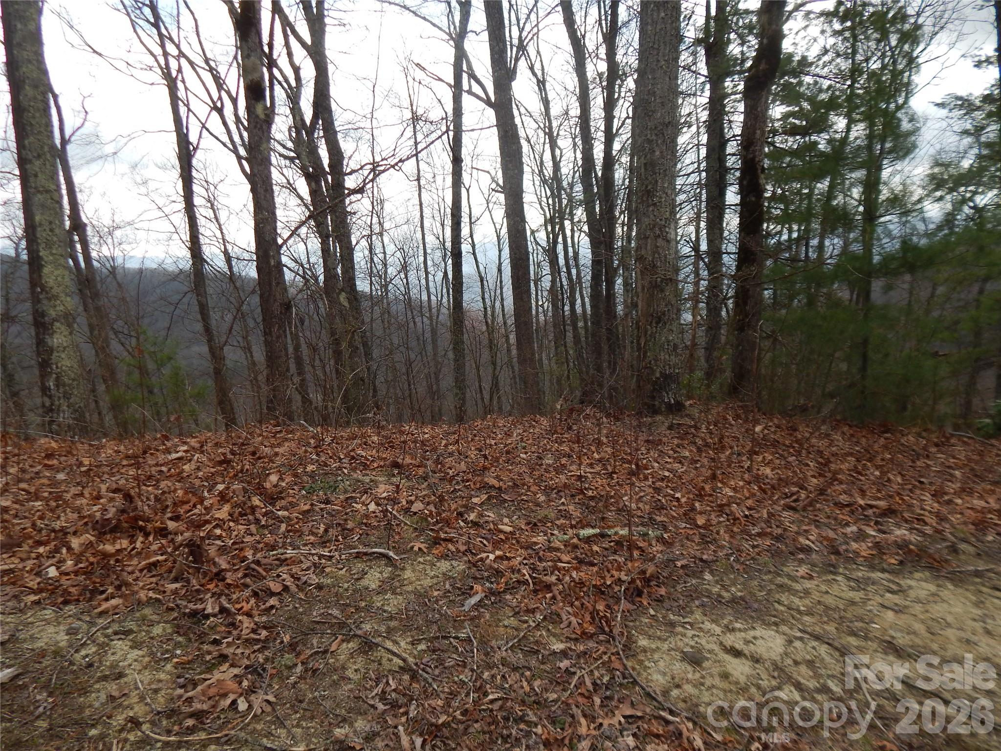5 Sigogglin Trail