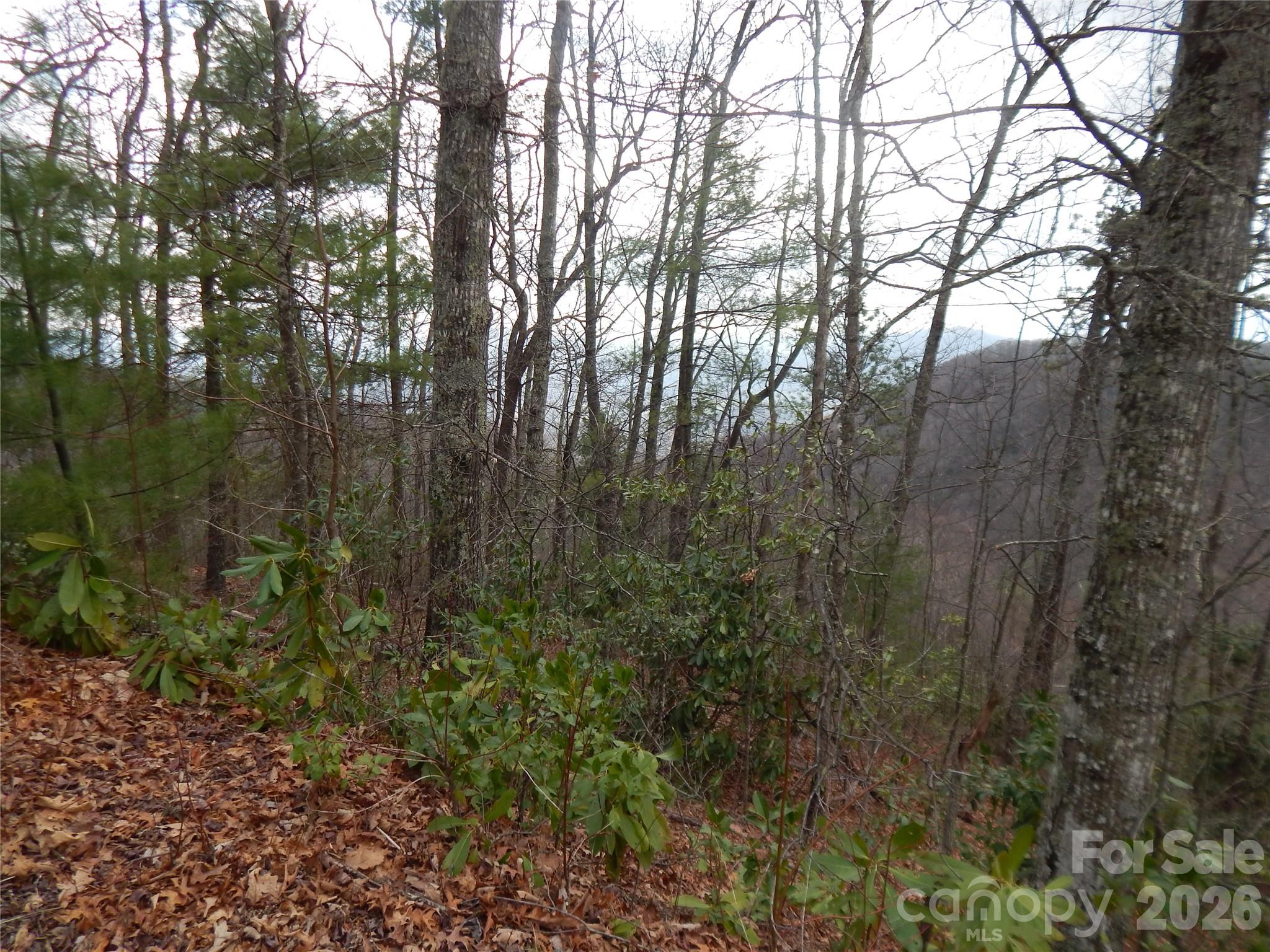 5 Sigogglin Trail